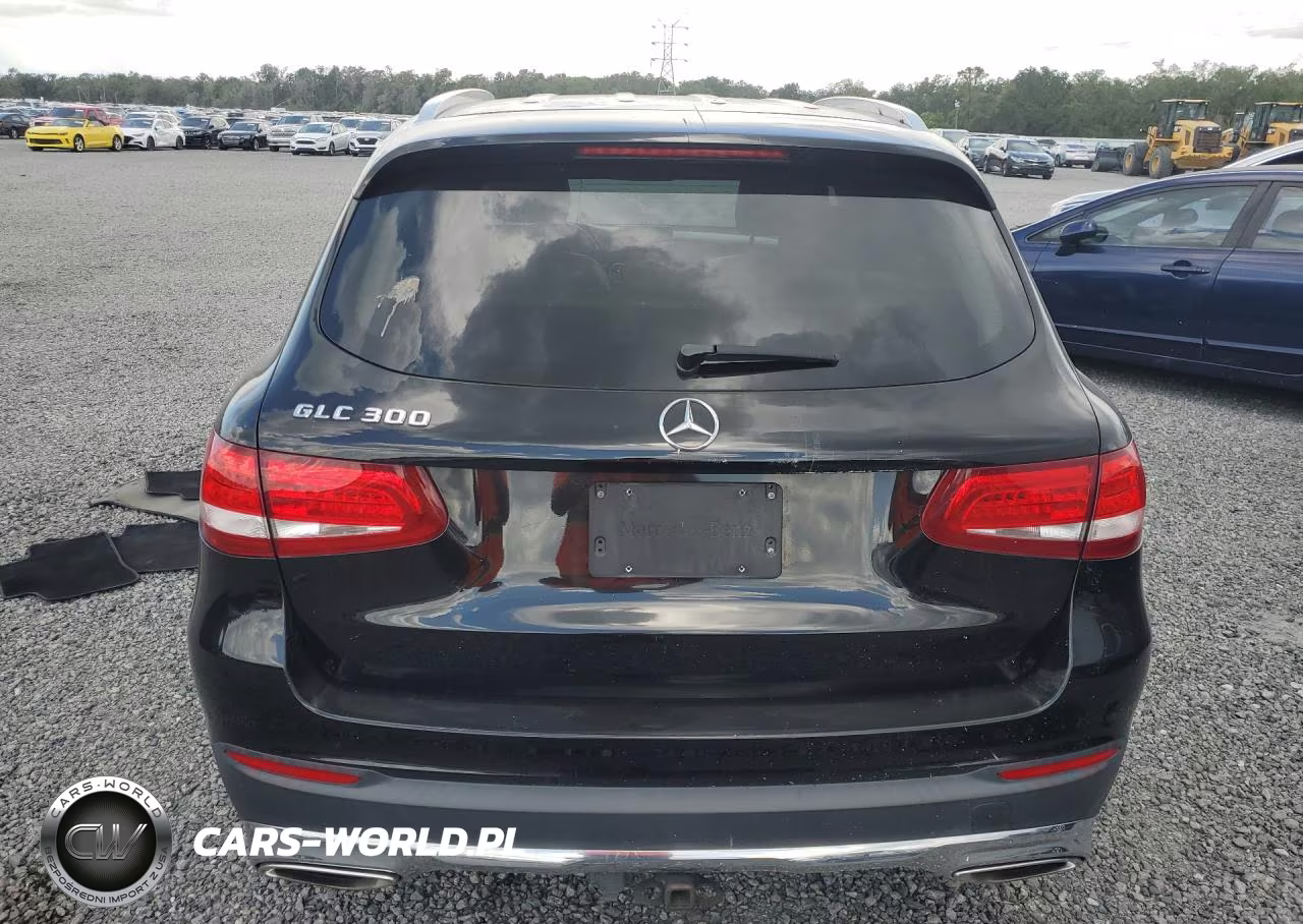 2016 Mercedes-Benz Glc 300 VIN:WDC0G4JB9GF060816 - 6