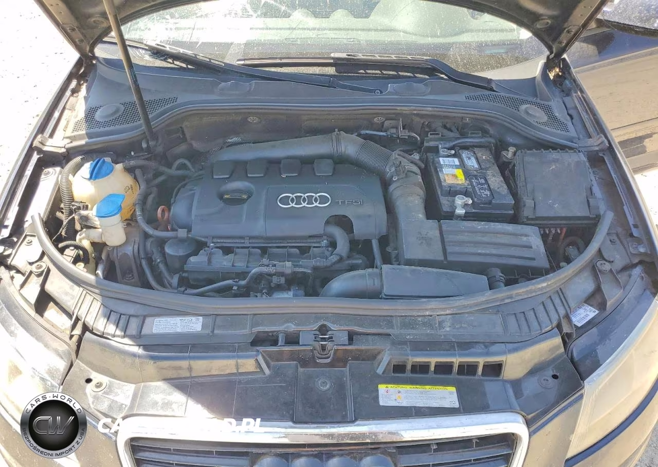 2011 Audi A3 Premium Plus VIN:WAUKEAFM5BA018479 - 11