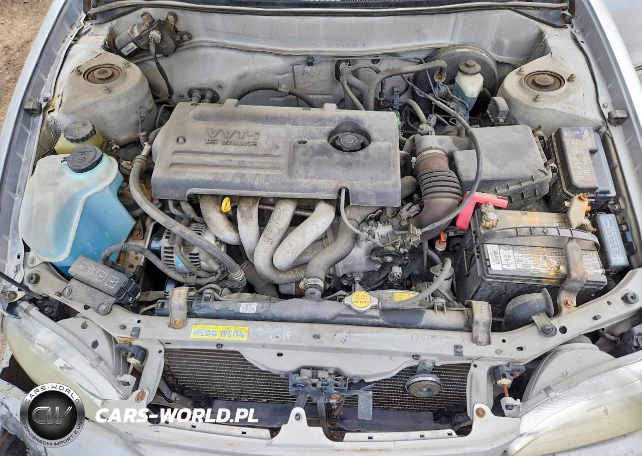 2000 Toyota Corolla Ve VIN:1NXBR12E7YZ394321 - 11