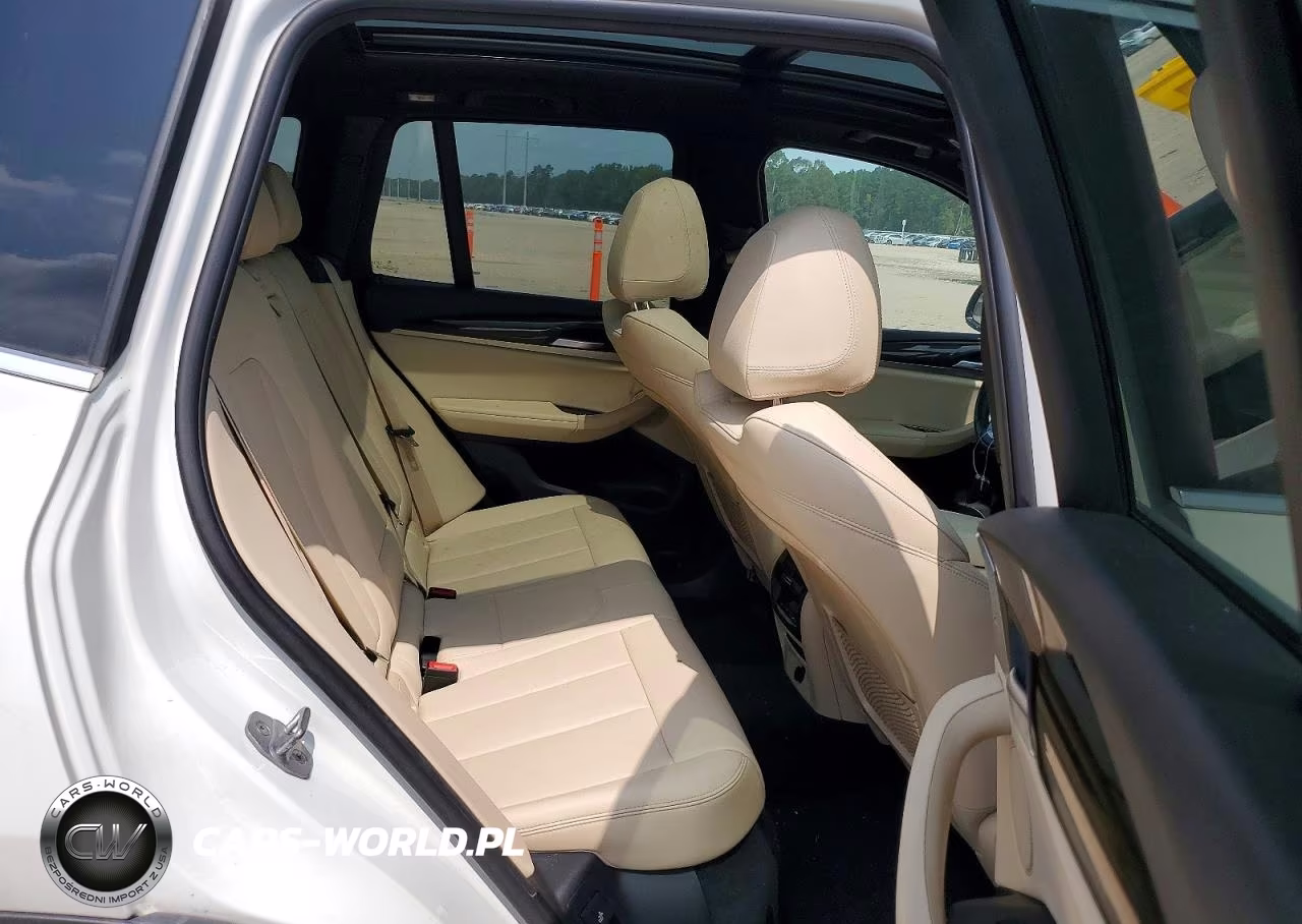 2019 BMW X3 Sdrive30I VIN:5UXTR7C59KLE93697 - 10
