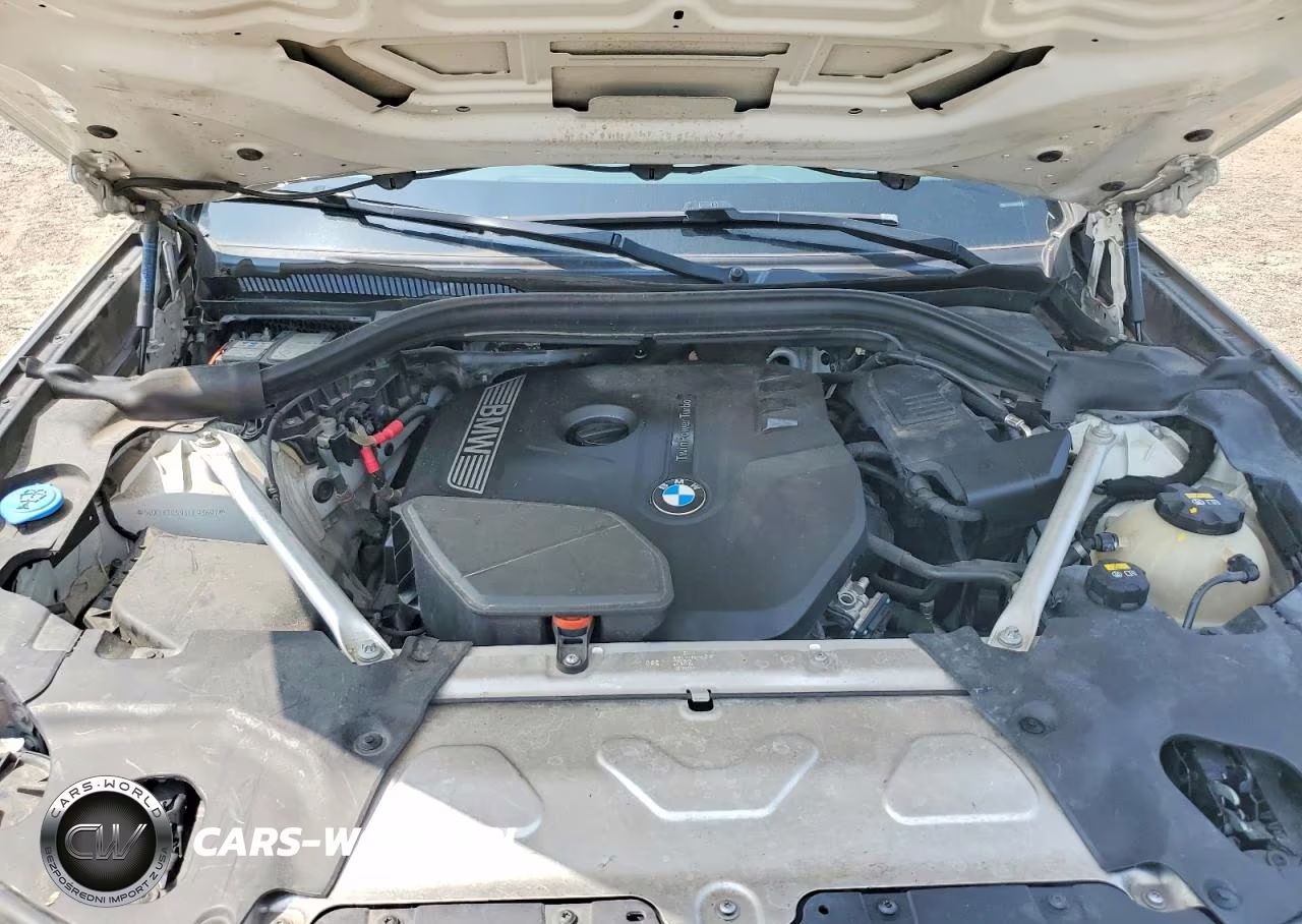 2019 BMW X3 Sdrive30I VIN:5UXTR7C59KLE93697 - 11