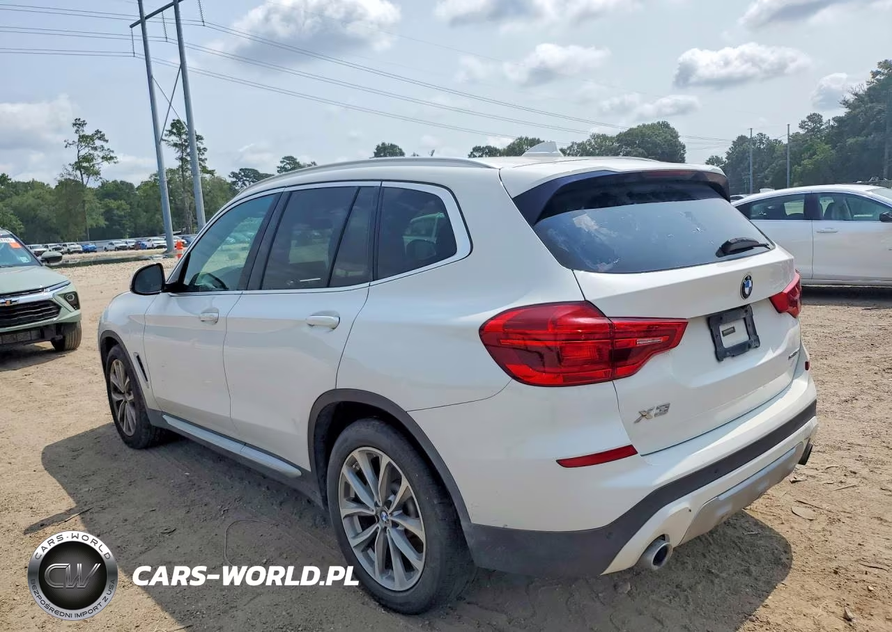 2019 BMW X3 Sdrive30I VIN:5UXTR7C59KLE93697 - 2