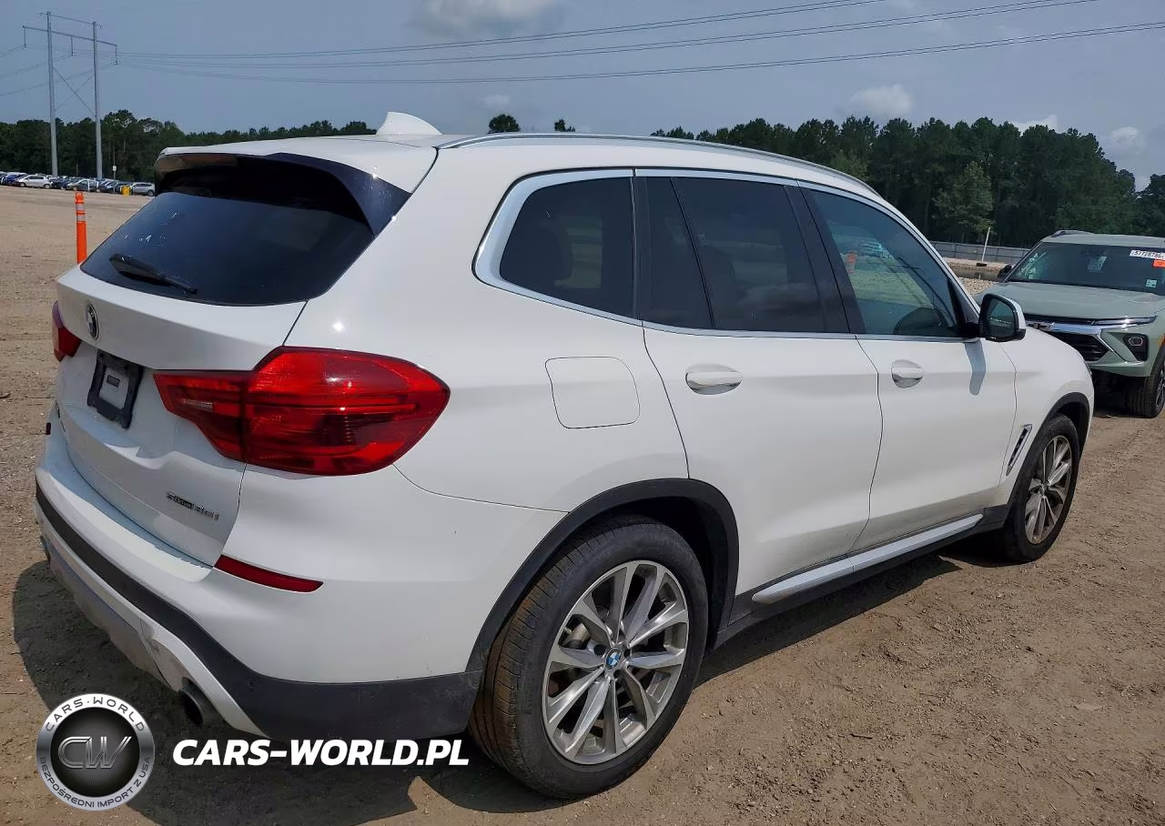 2019 BMW X3 Sdrive30I VIN:5UXTR7C59KLE93697 - 3