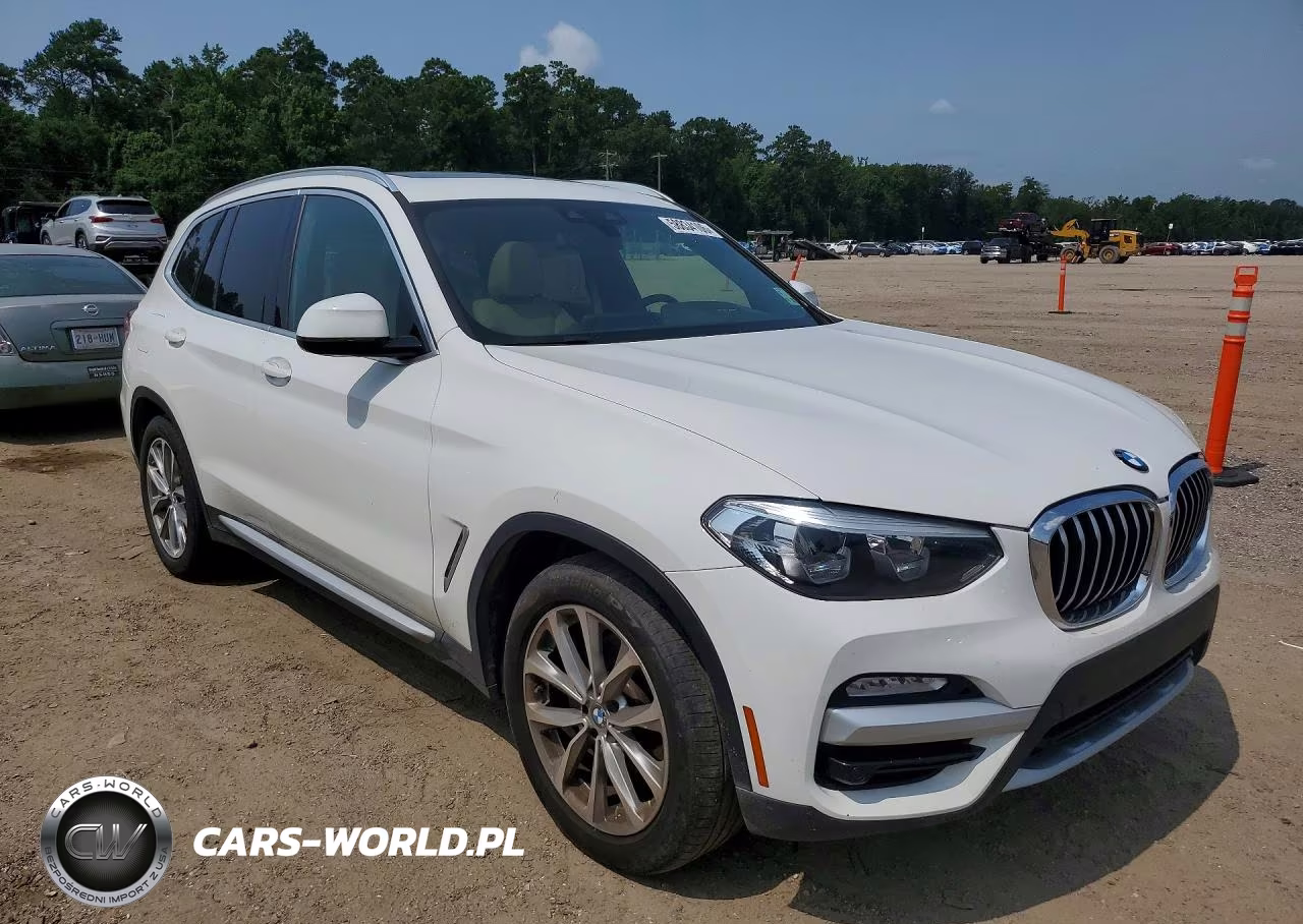 2019 BMW X3 Sdrive30I VIN:5UXTR7C59KLE93697 - 4