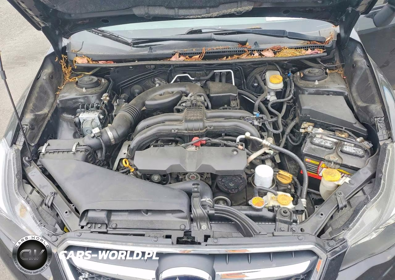 2014 Subaru Xv Crosstrek 2.0 Premium VIN:JF2GPAWC0E8250382 - 11