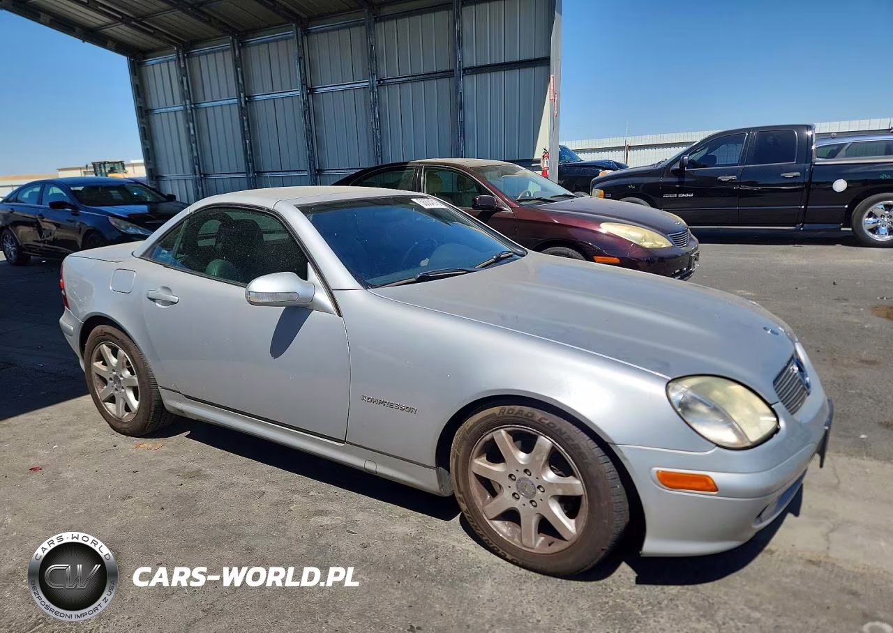 2002 Mercedes-Benz Slk 230 Kompressor VIN:WDBKK49F62F252545 - 4