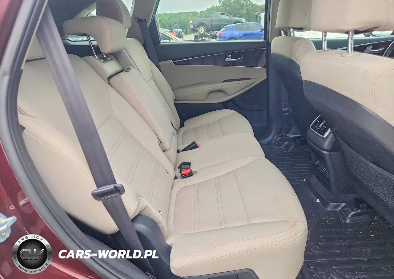 2017 Kia Sorento Lx VIN:5XYPG4A35HG269899 - 10