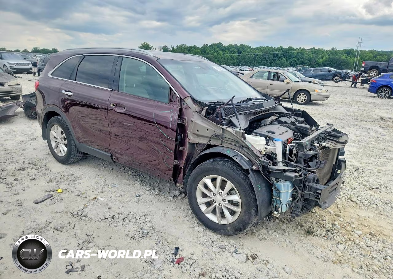 2017 Kia Sorento Lx VIN:5XYPG4A35HG269899 - 4