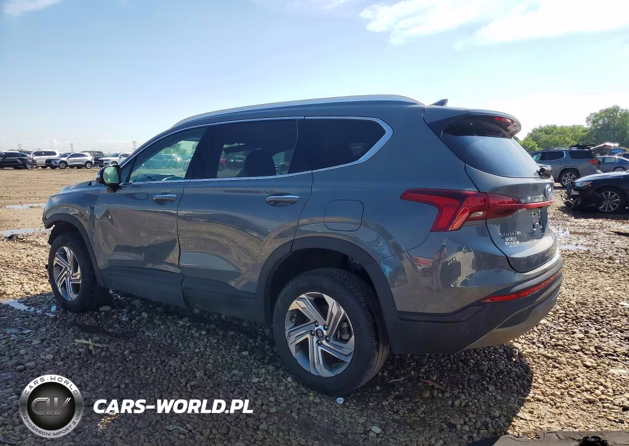 2023 Hyundai Santa Fe Sel VIN:5NMS2DAJ4PH538731 - 2