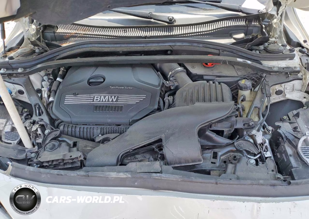 2021 BMW 228Xi VIN:WBA73AK04M7H36803 - 11