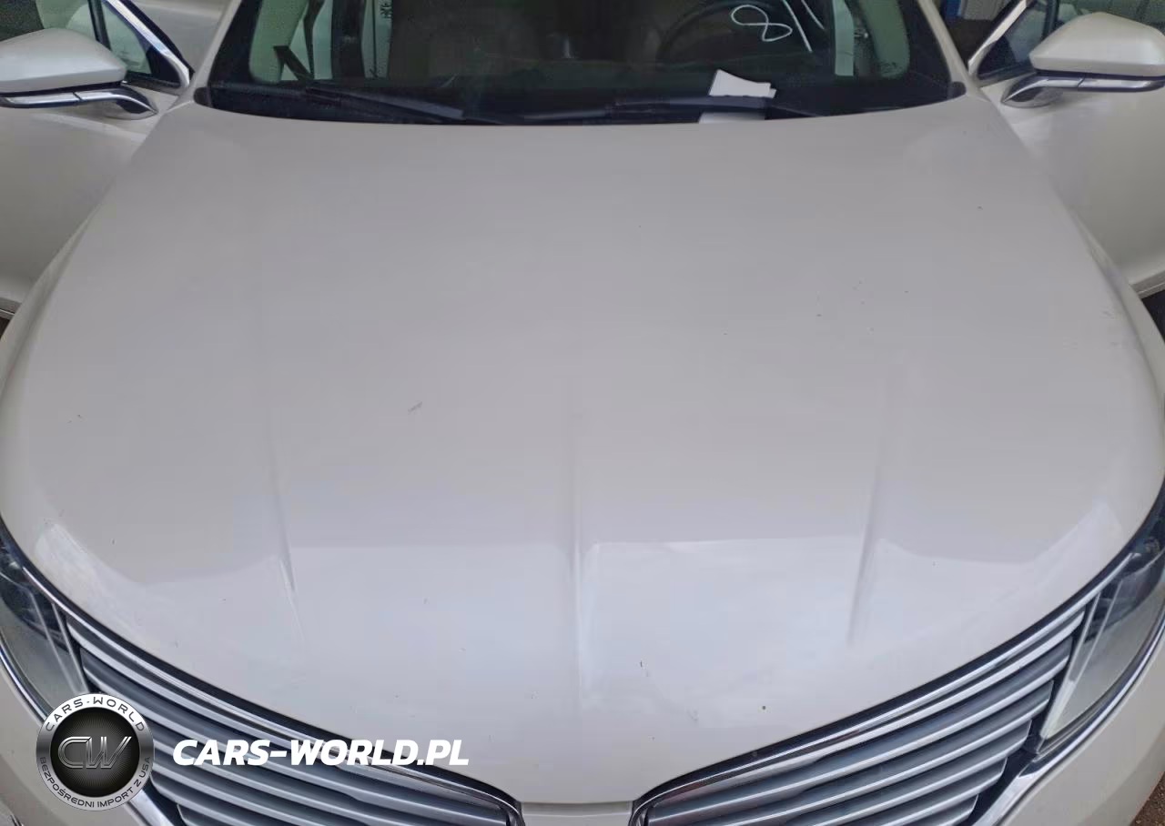 2016 Lincoln Mkz VIN:3LN6L2JK6GR621598 - 11