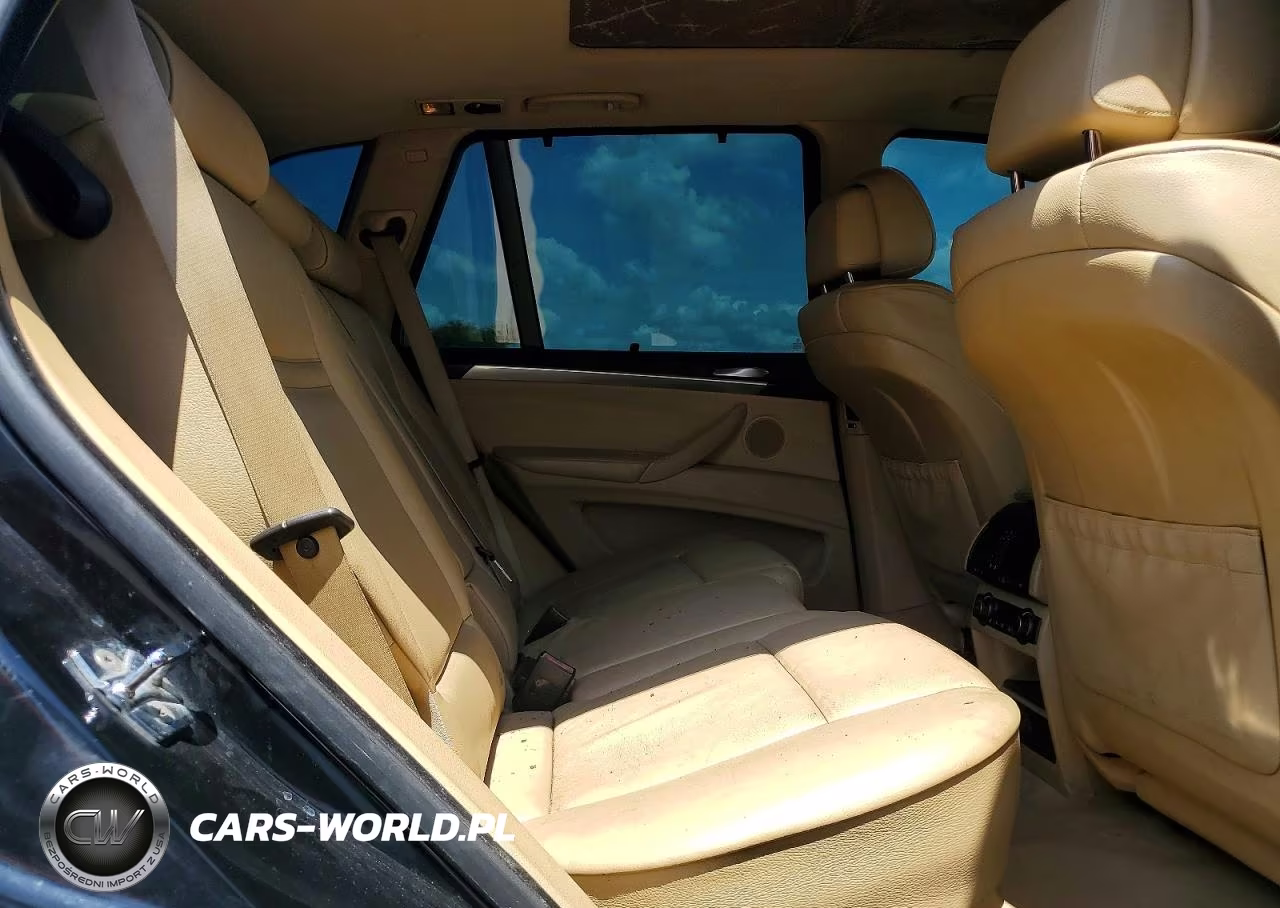2009 BMW X5 xDrive30I VIN:5UXFE43589L260456 - 10
