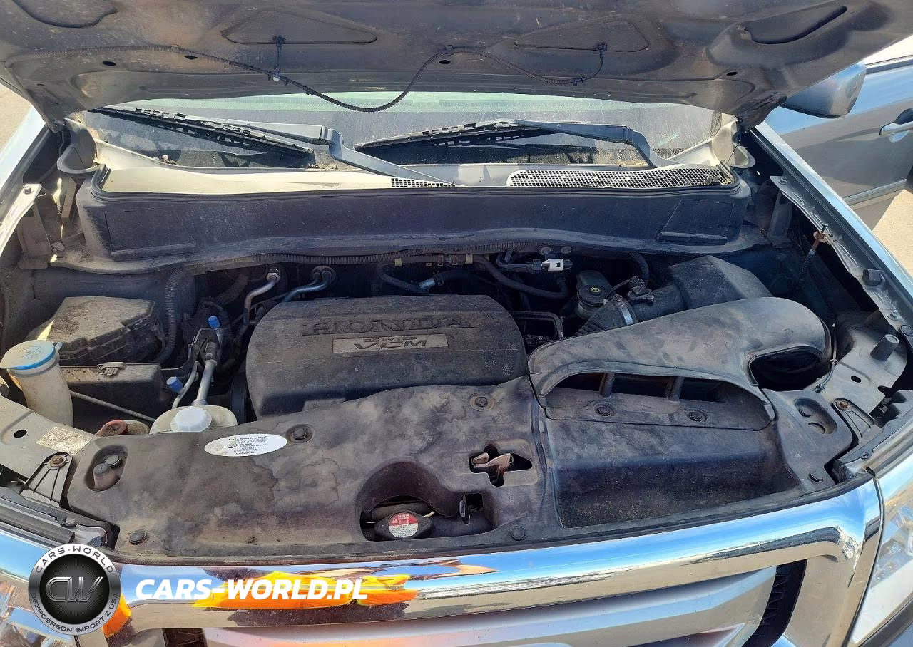 2009 Honda Pilot Exl VIN:5FNYF48539B025983 - 11