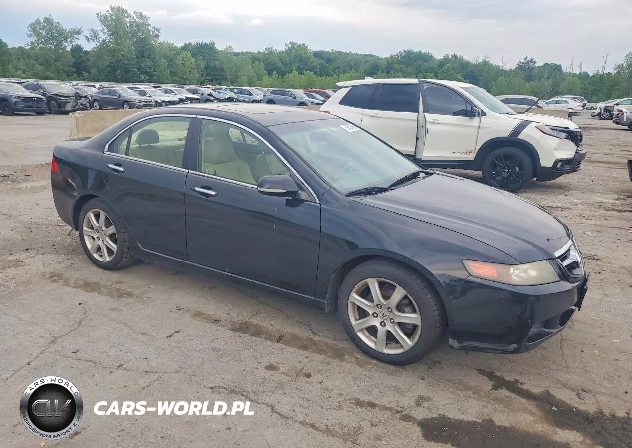 2005 Acura Tsx VIN:JH4CL95825C022982 - 4