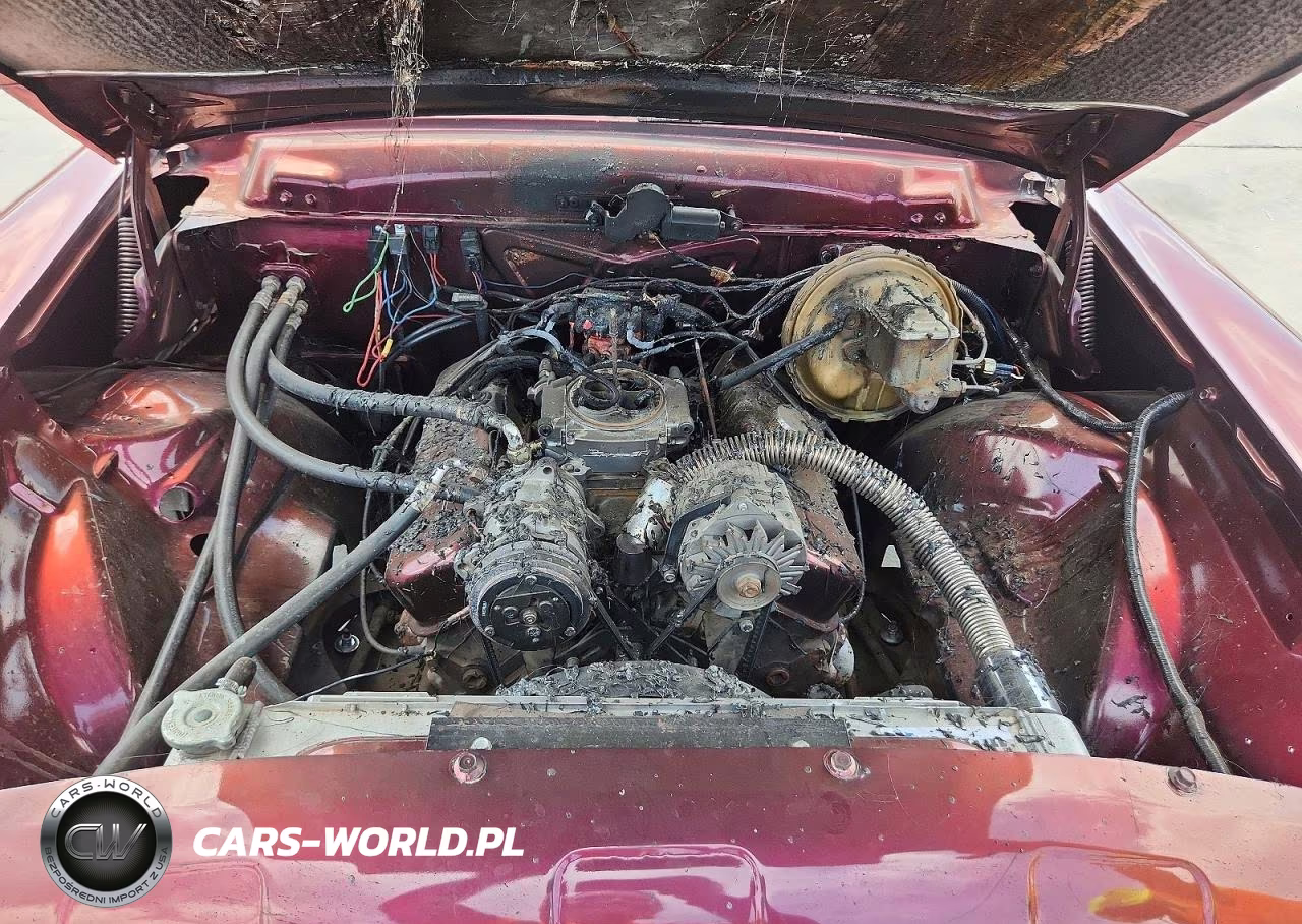 1956 Linc Premier VIN:000000056WA20786L - 11