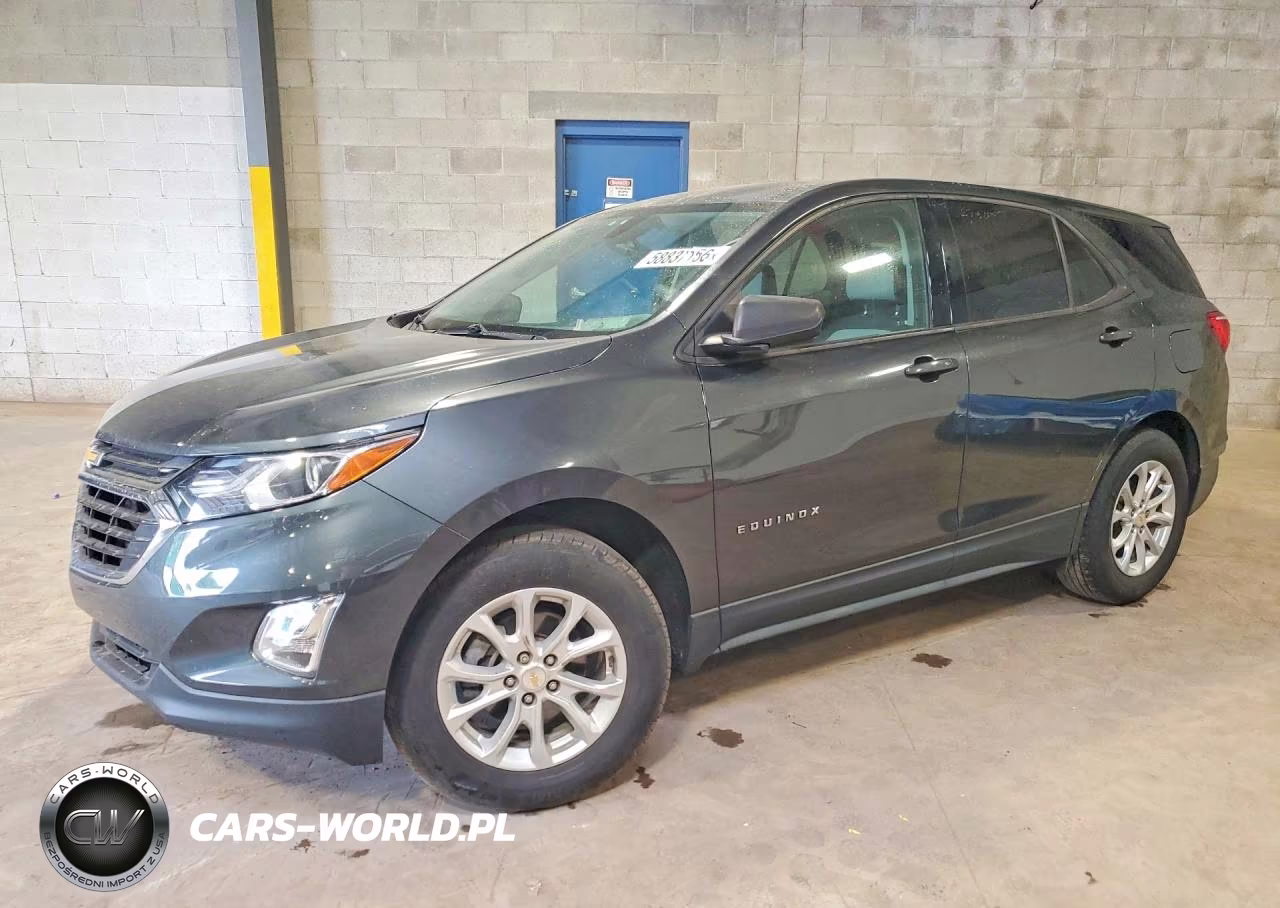 2019 Chevrolet Equinox Ls – zdjęcie 1 z 13