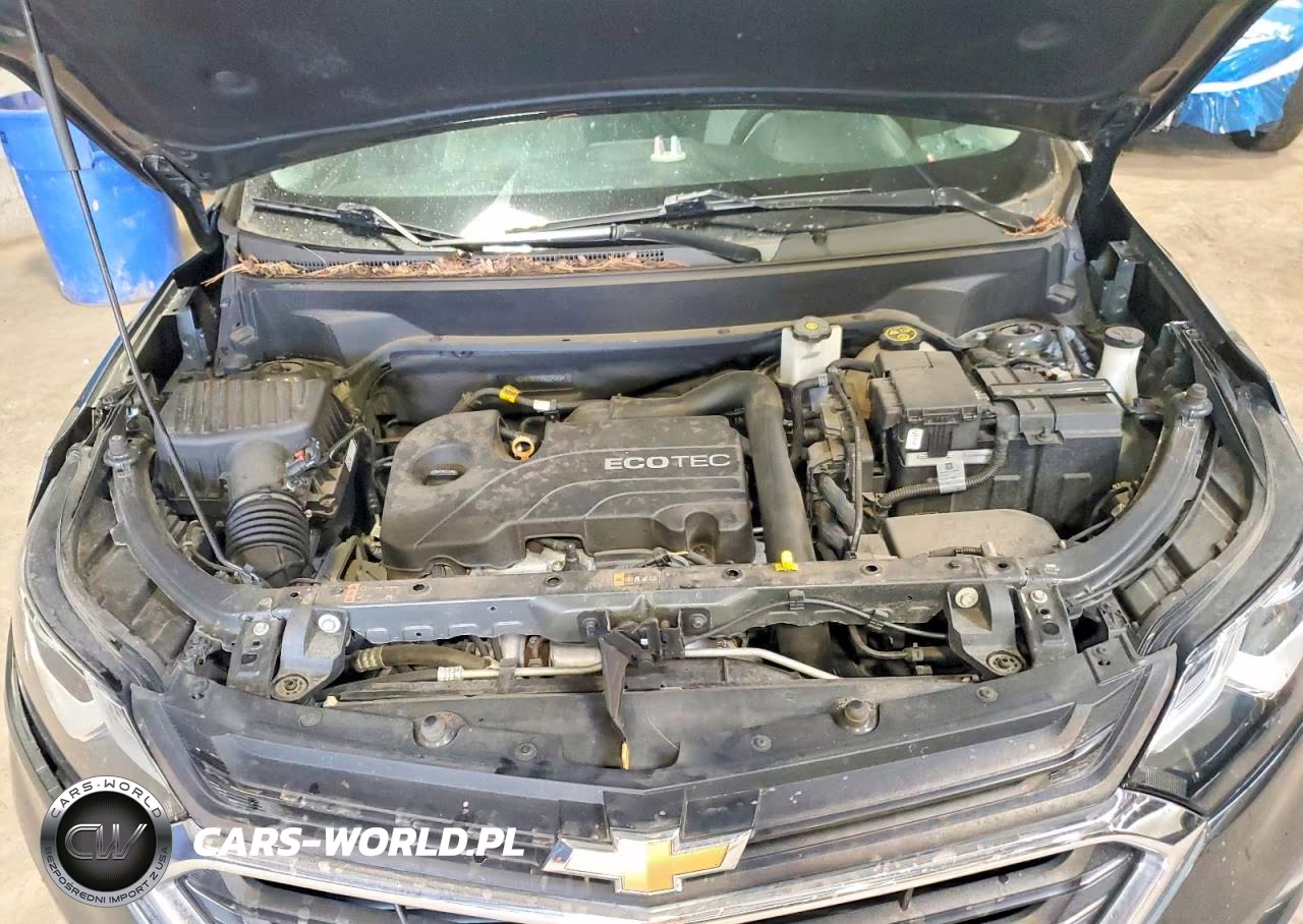 2019 Chevrolet Equinox Ls VIN:2GNAXSEV3K6239253 - 12