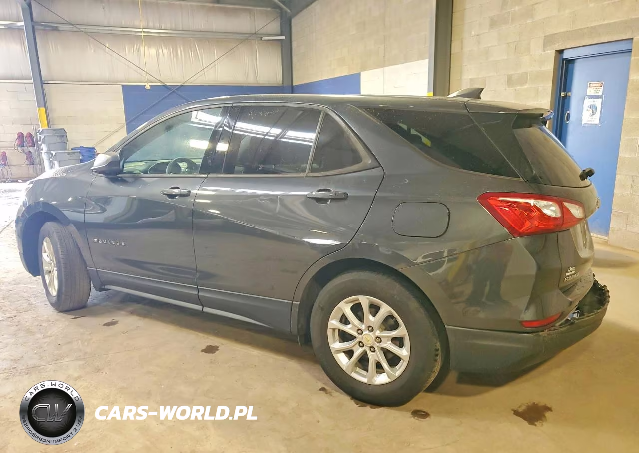 2019 Chevrolet Equinox Ls VIN:2GNAXSEV3K6239253 - 2