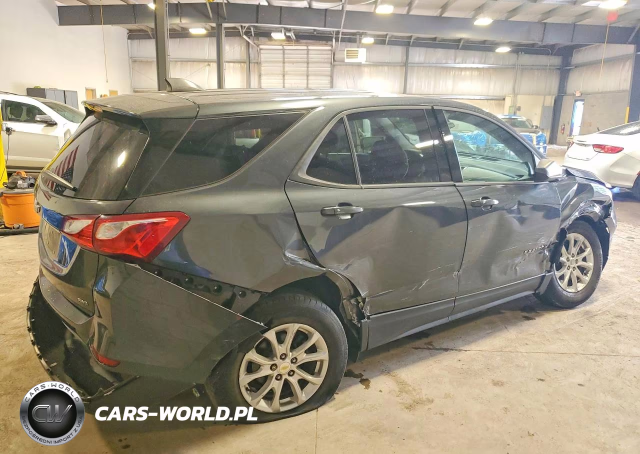 2019 Chevrolet Equinox Ls VIN:2GNAXSEV3K6239253 - 3