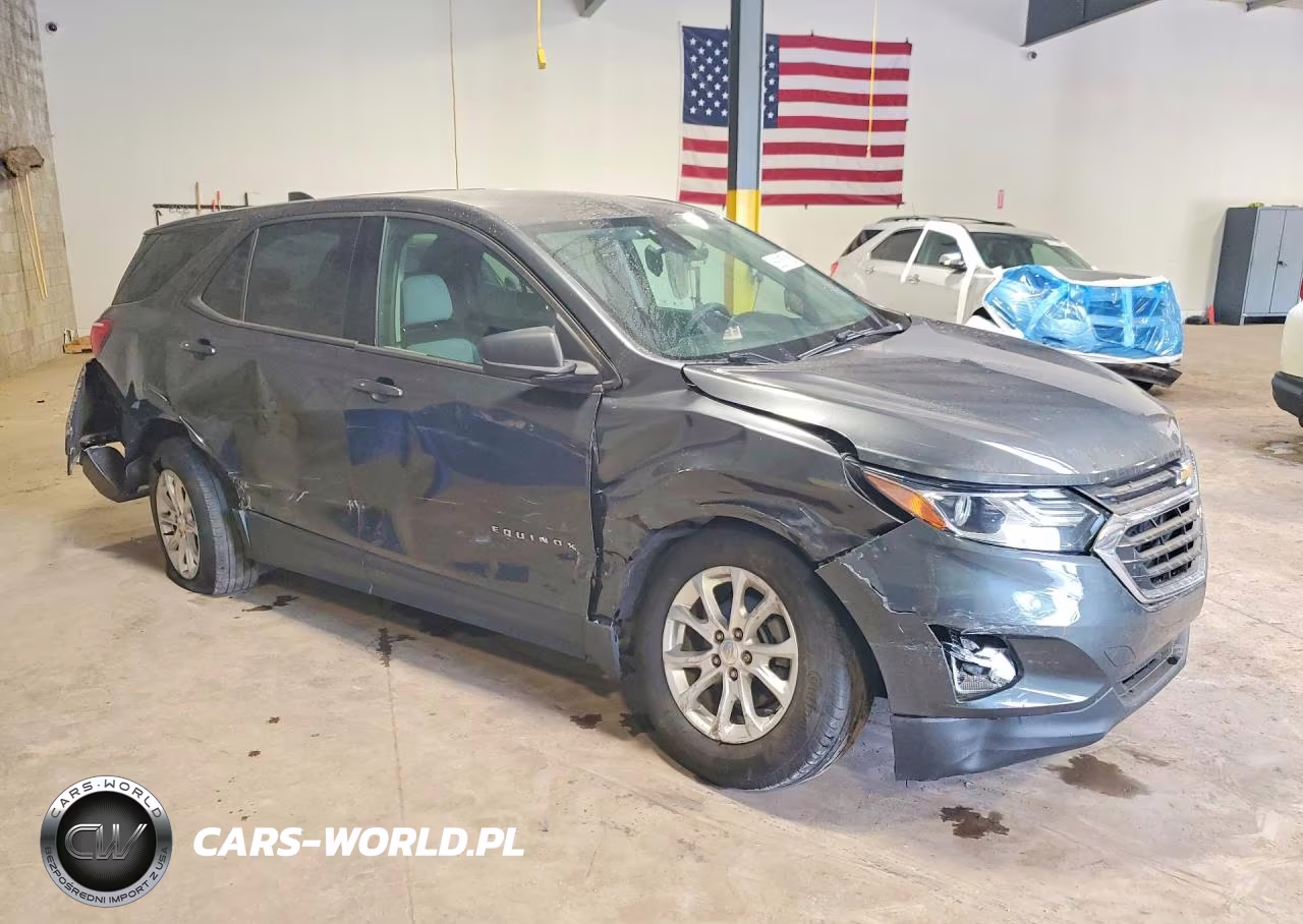 2019 Chevrolet Equinox Ls VIN:2GNAXSEV3K6239253 - 4