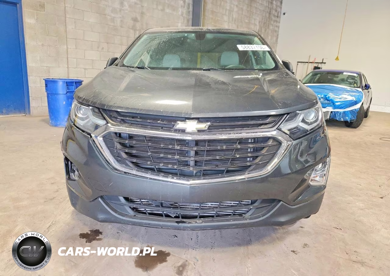 2019 Chevrolet Equinox Ls VIN:2GNAXSEV3K6239253 - 5