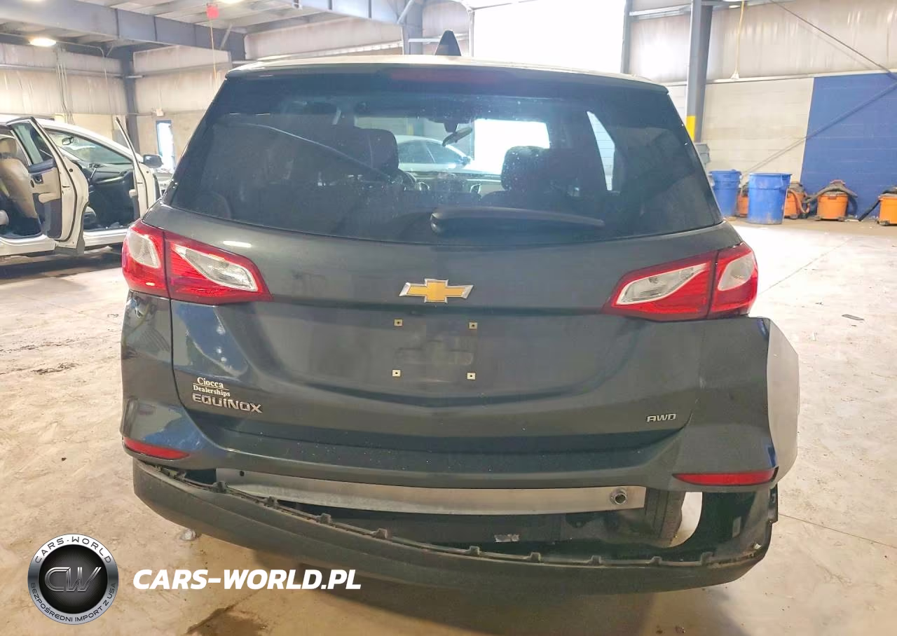 2019 Chevrolet Equinox Ls VIN:2GNAXSEV3K6239253 - 6