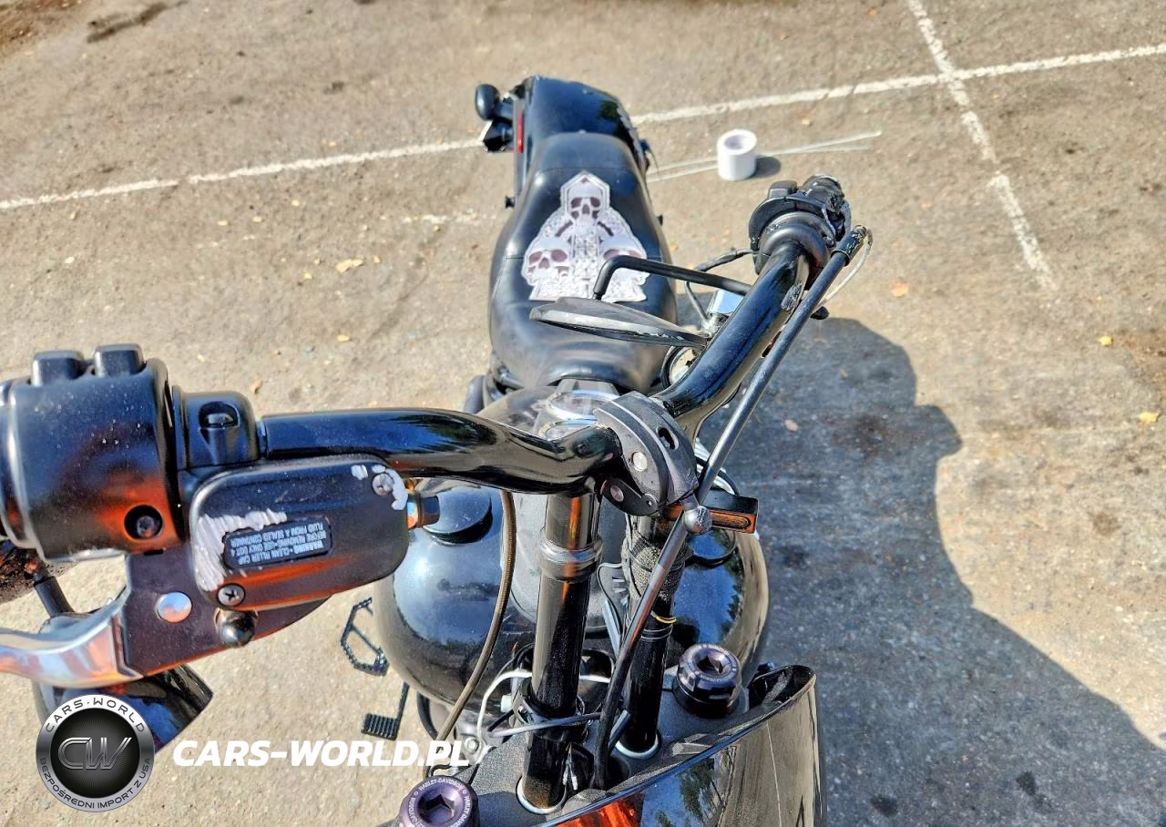 2021 Harley-Davidson Fxlrs VIN:1HD1YWK28MB045582 - 5