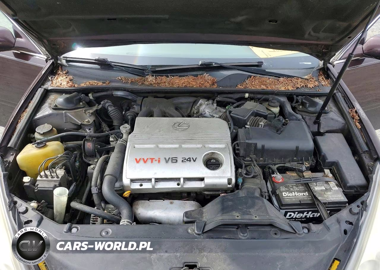 2002 Lexus Es 300 VIN:JTHBF30G125032885 - 11