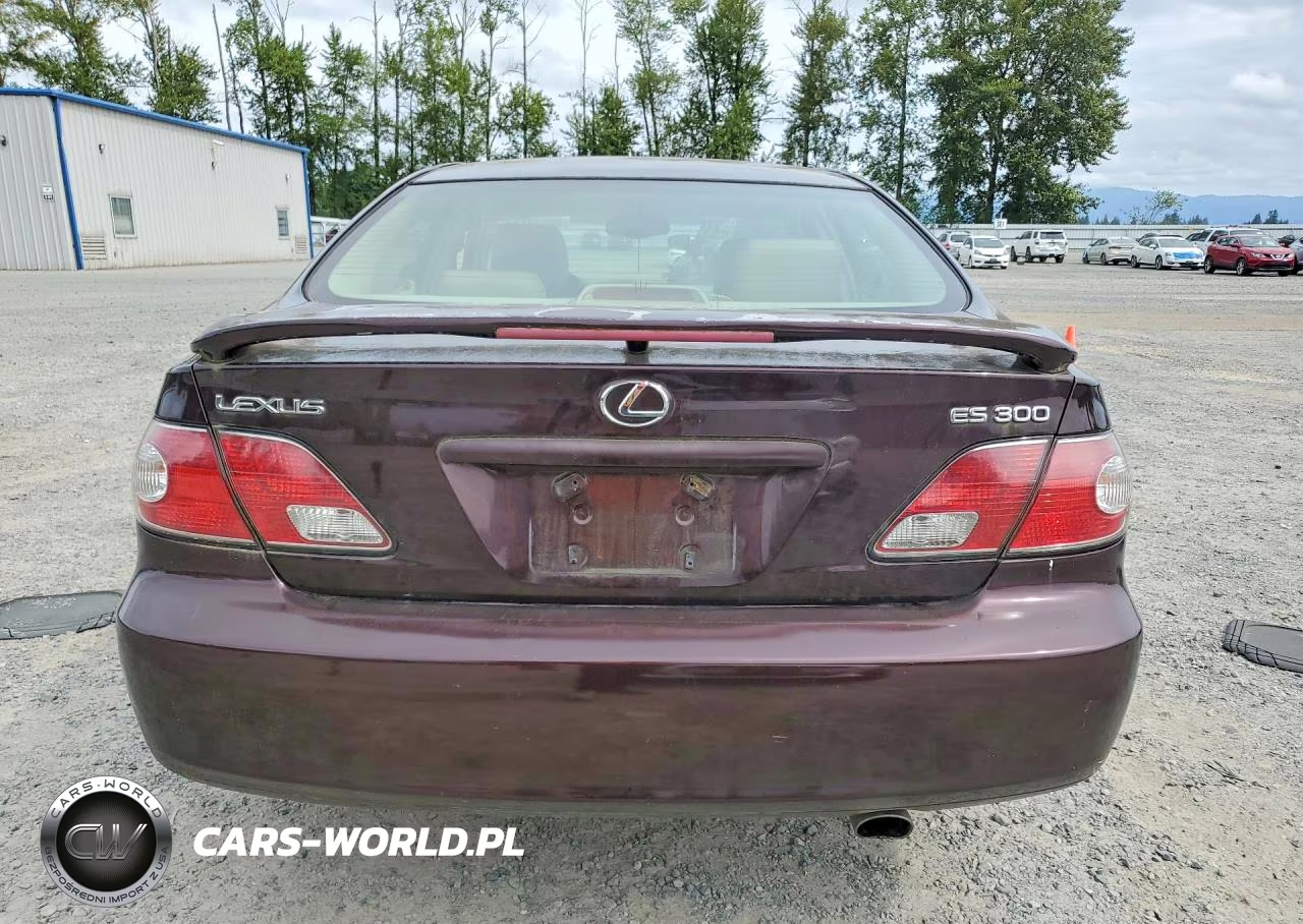 2002 Lexus Es 300 VIN:JTHBF30G125032885 - 6
