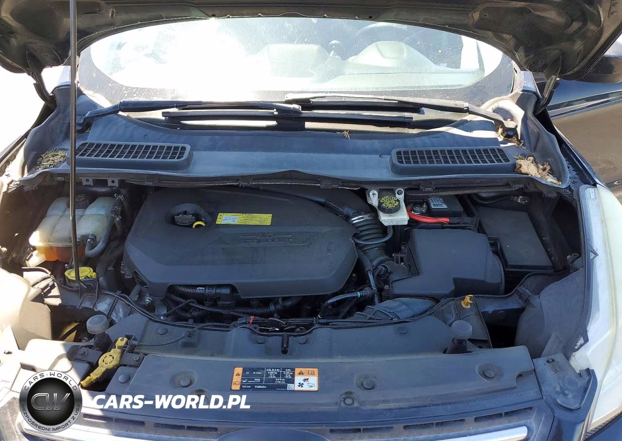 2014 Ford Escape Se VIN:1FMCU0GX7EUB01374 - 12