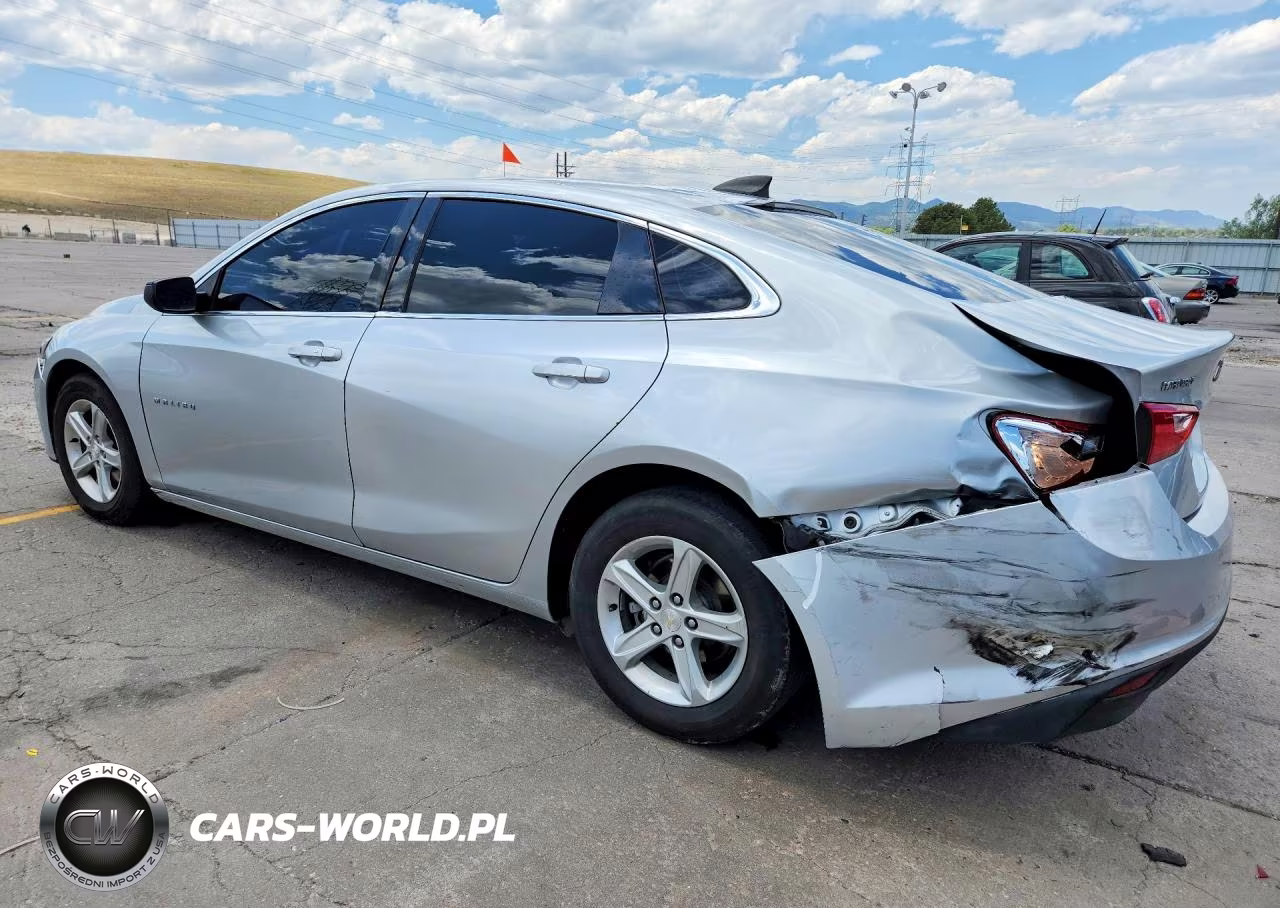 2019 Chevrolet Malibu Ls VIN:1G1ZC5ST9KF203187 - 2