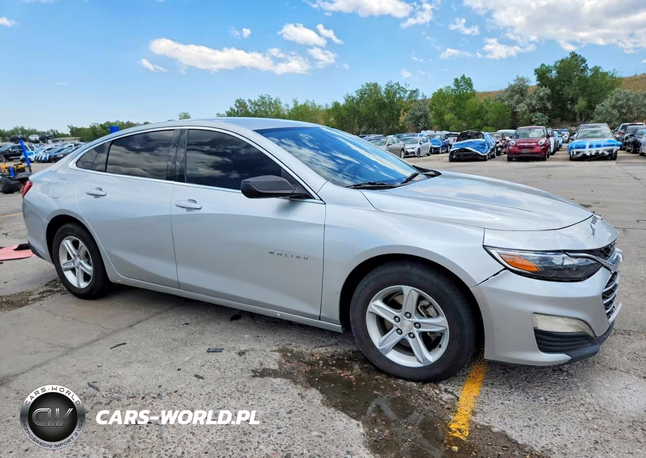 2019 Chevrolet Malibu Ls VIN:1G1ZC5ST9KF203187 - 4