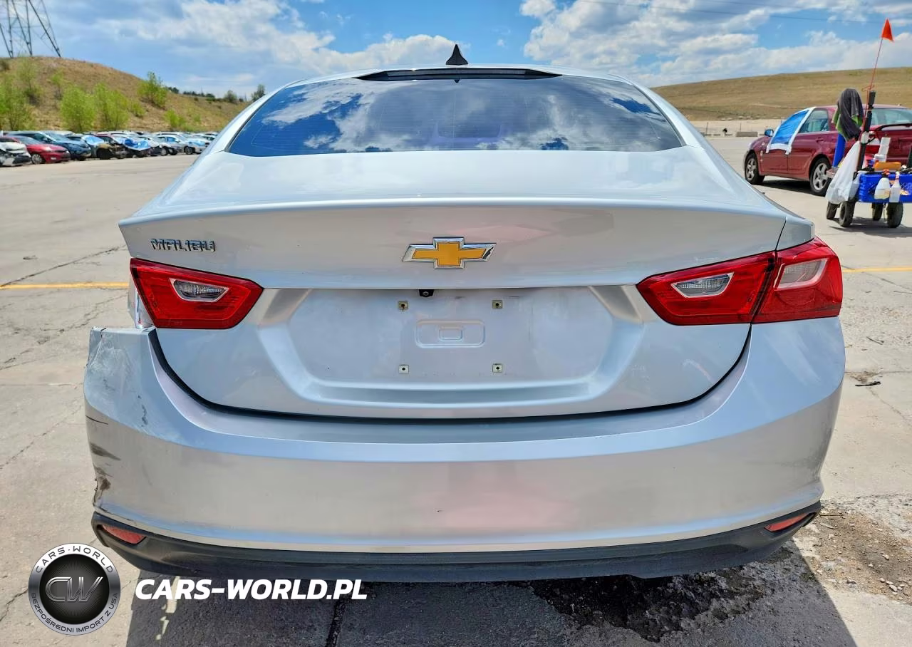 2019 Chevrolet Malibu Ls VIN:1G1ZC5ST9KF203187 - 6