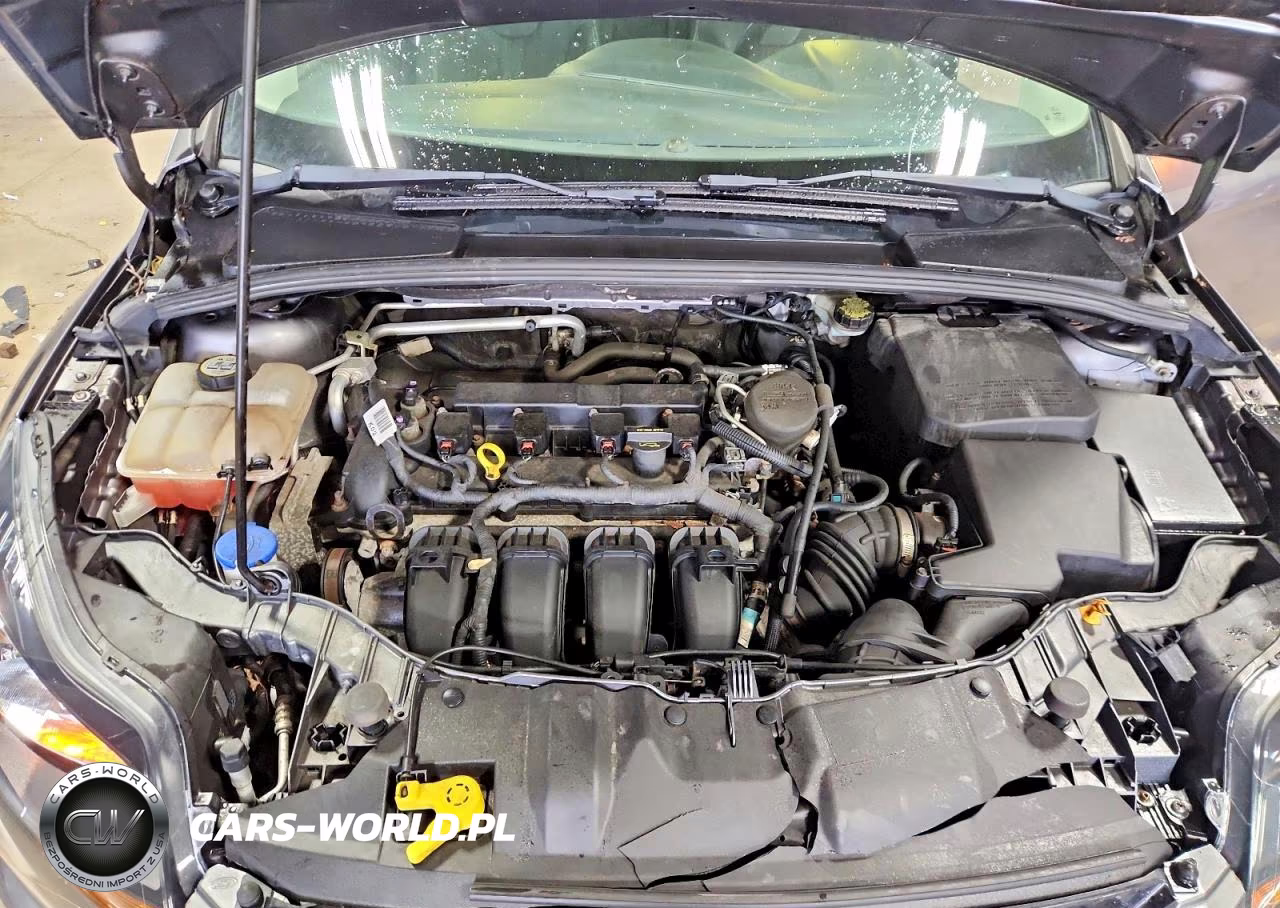 2013 Ford Focus Titanium VIN:1FADP3N20DL300334 - 11
