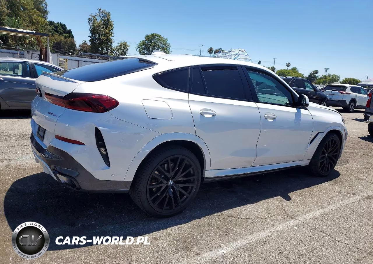 2023 BMW X6 xDrive40I VIN:5UXCY6C01P9P02899 - 3
