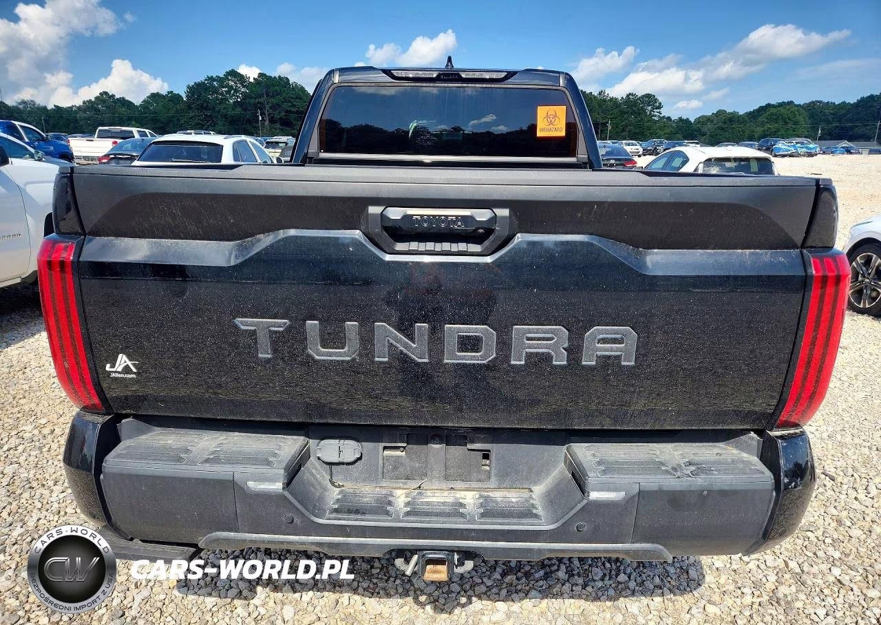 2023 Toyota Tundra Crewmax Sr5 VIN:5TFLA5BC0PX002718 - 6