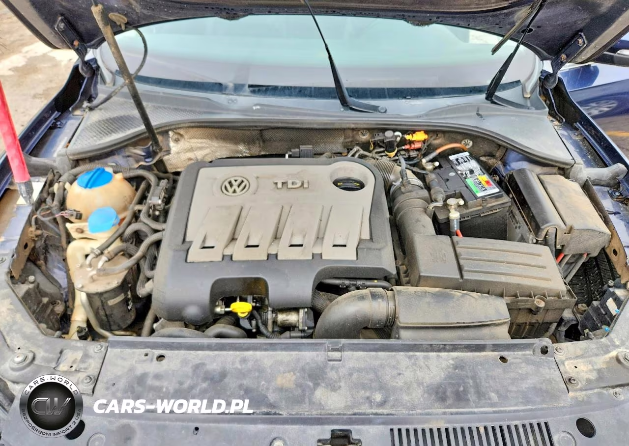 2014 Volkswagen Passat Sel VIN:1VWCN7A34EC048362 - 11