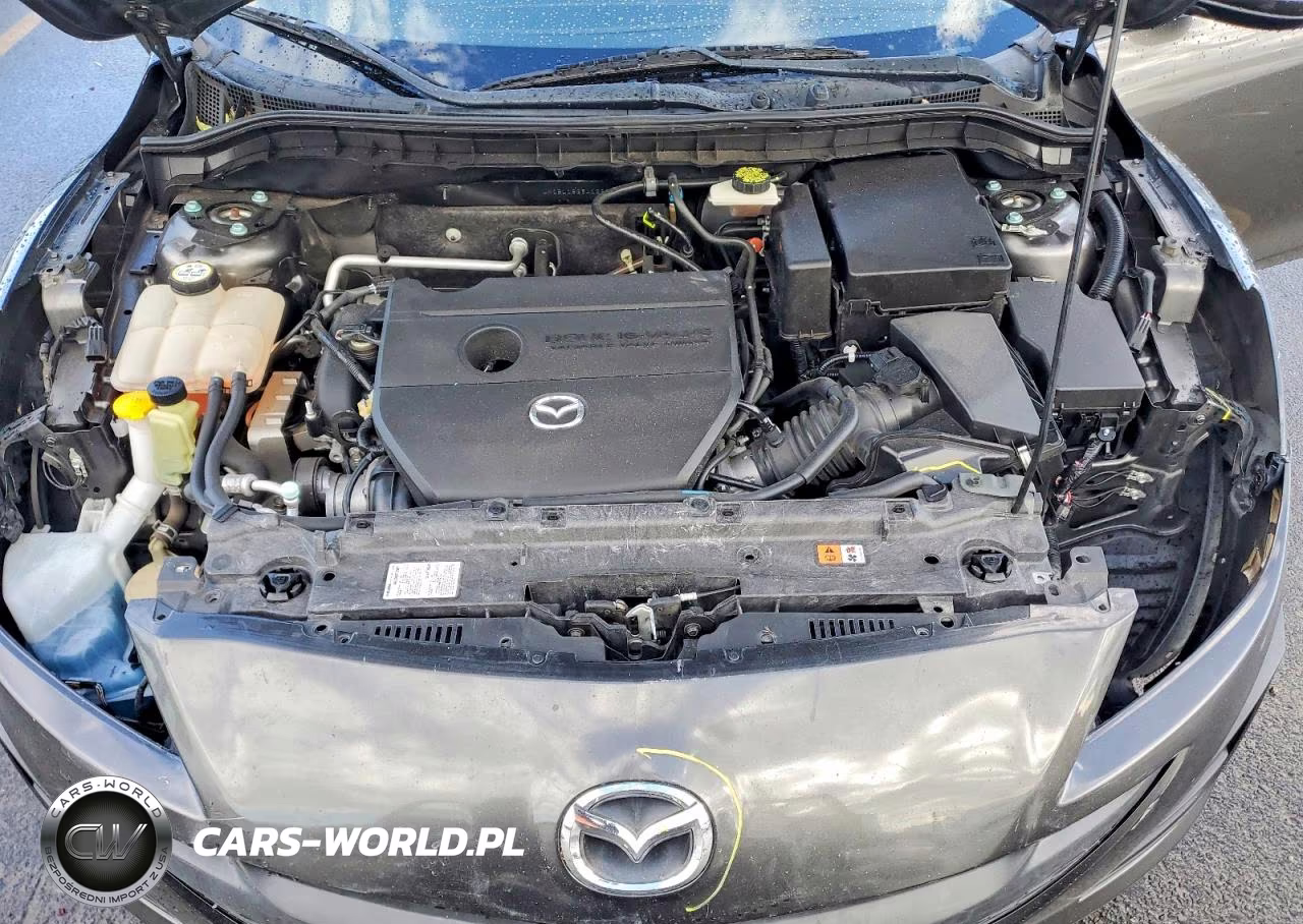 2010 Mazda 3 I VIN:JM1BL1SG3A1282064 - 11