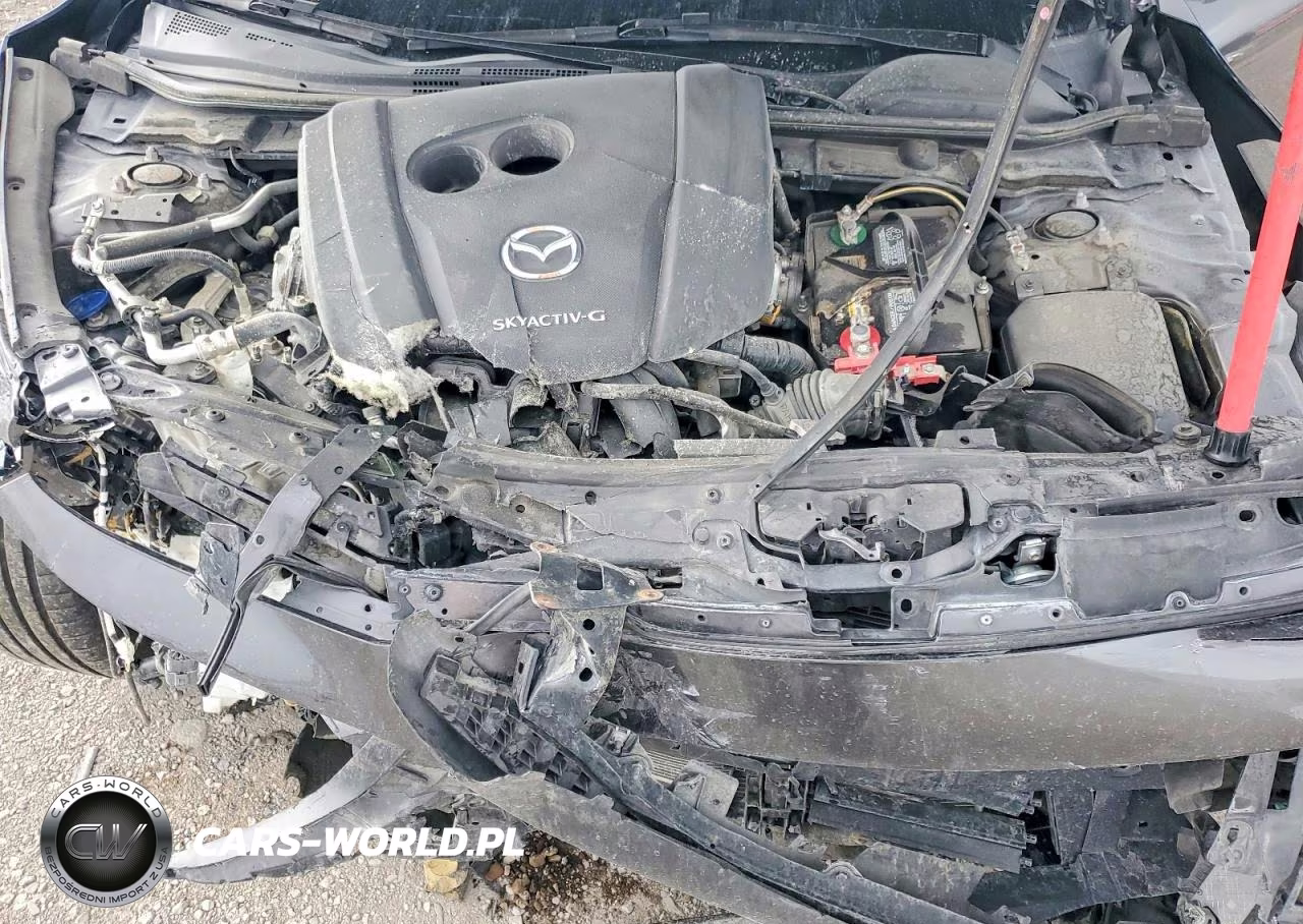 2020 Mazda 3 Premium VIN:JM1BPANM1L1173319 - 11