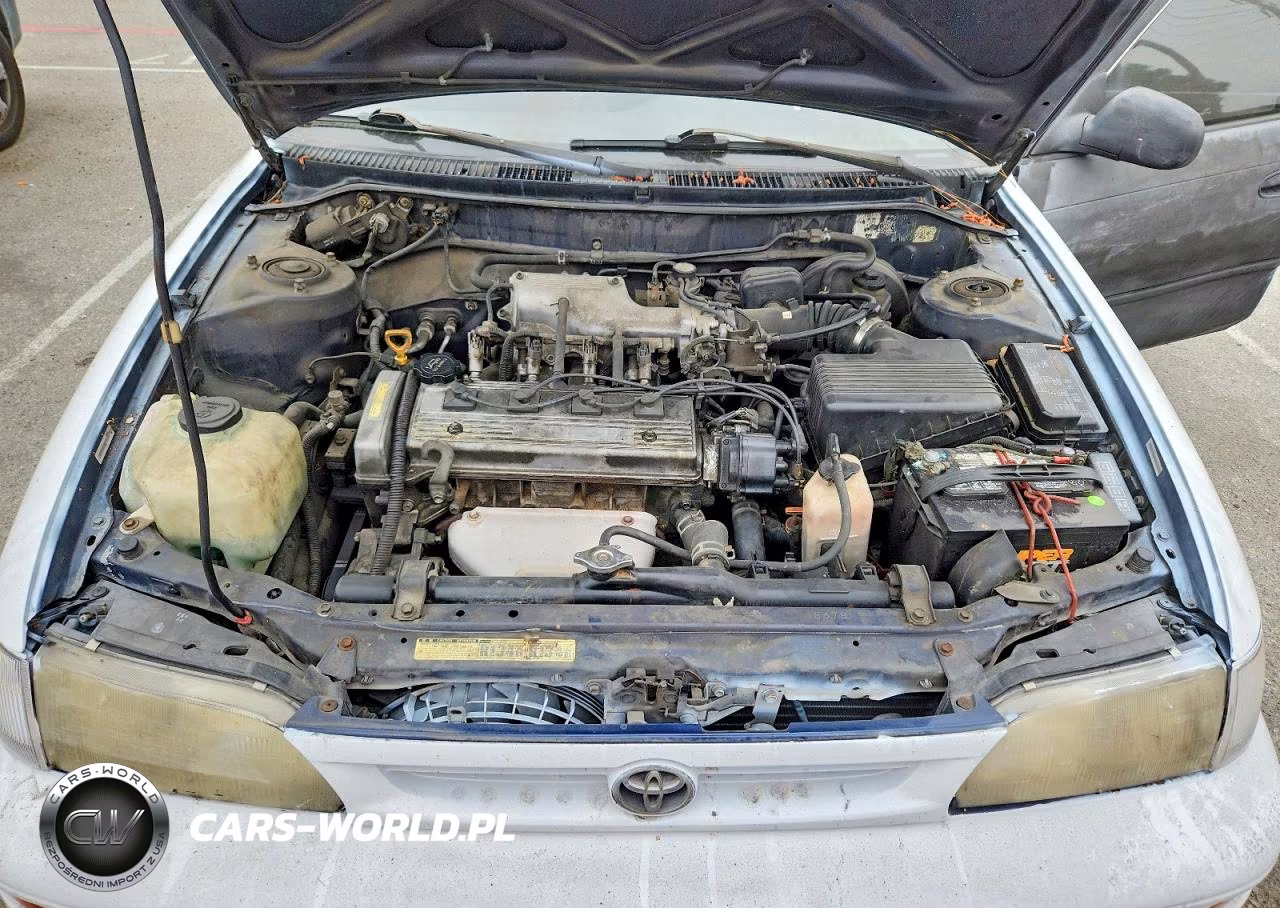 1997 Toyota Corolla Base VIN:1NXBA02E1VZ561978 - 11