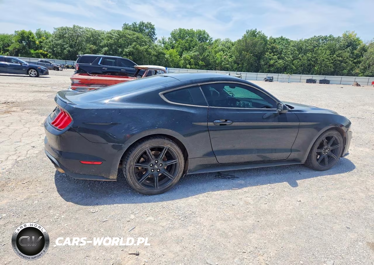 2018 Ford Mustang VIN:1FA6P8TH7J5135623 - 3