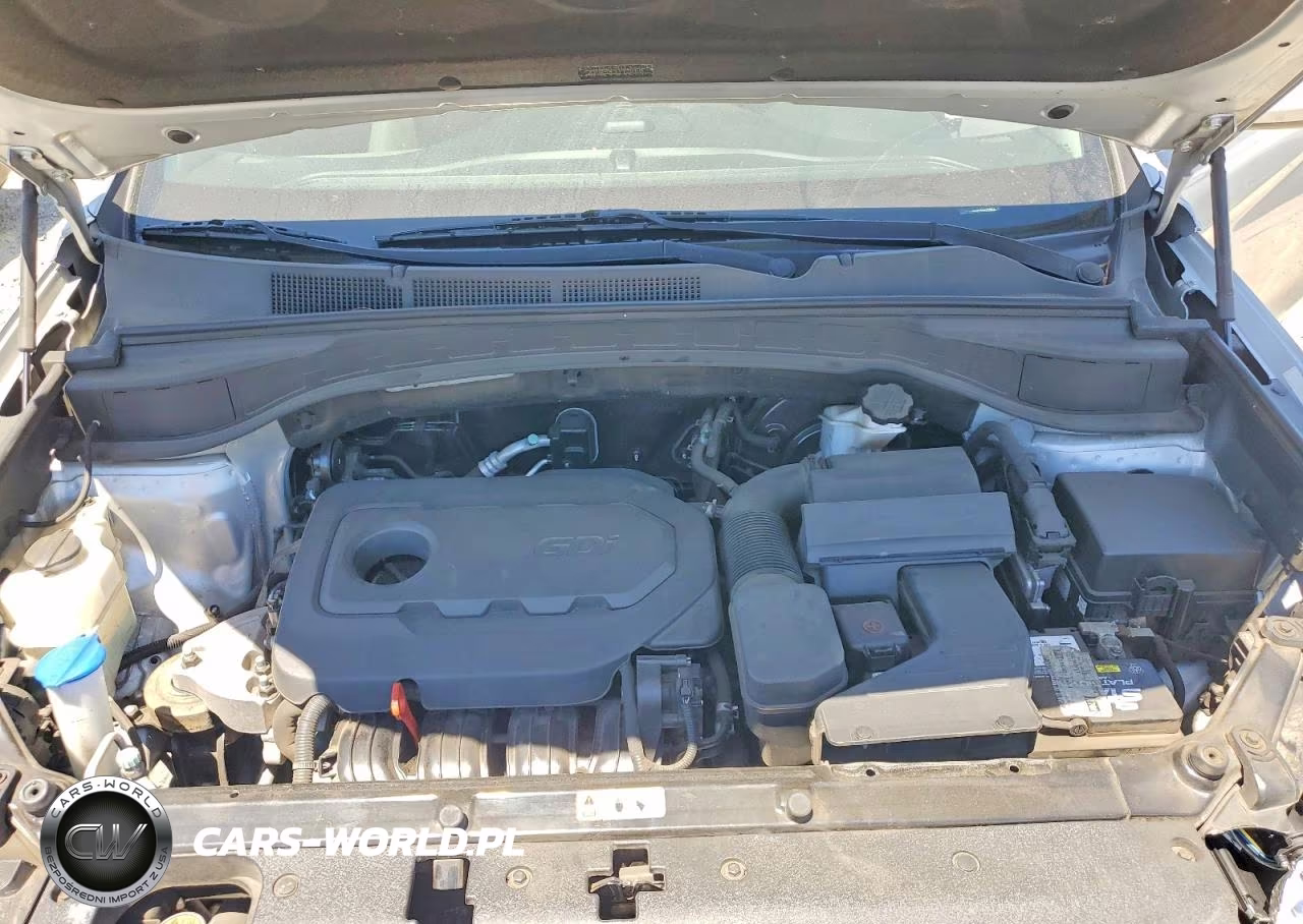2018 Hyundai Santa Fe Sport 2.4L VIN:5XYZT3LBXJG538441 - 11