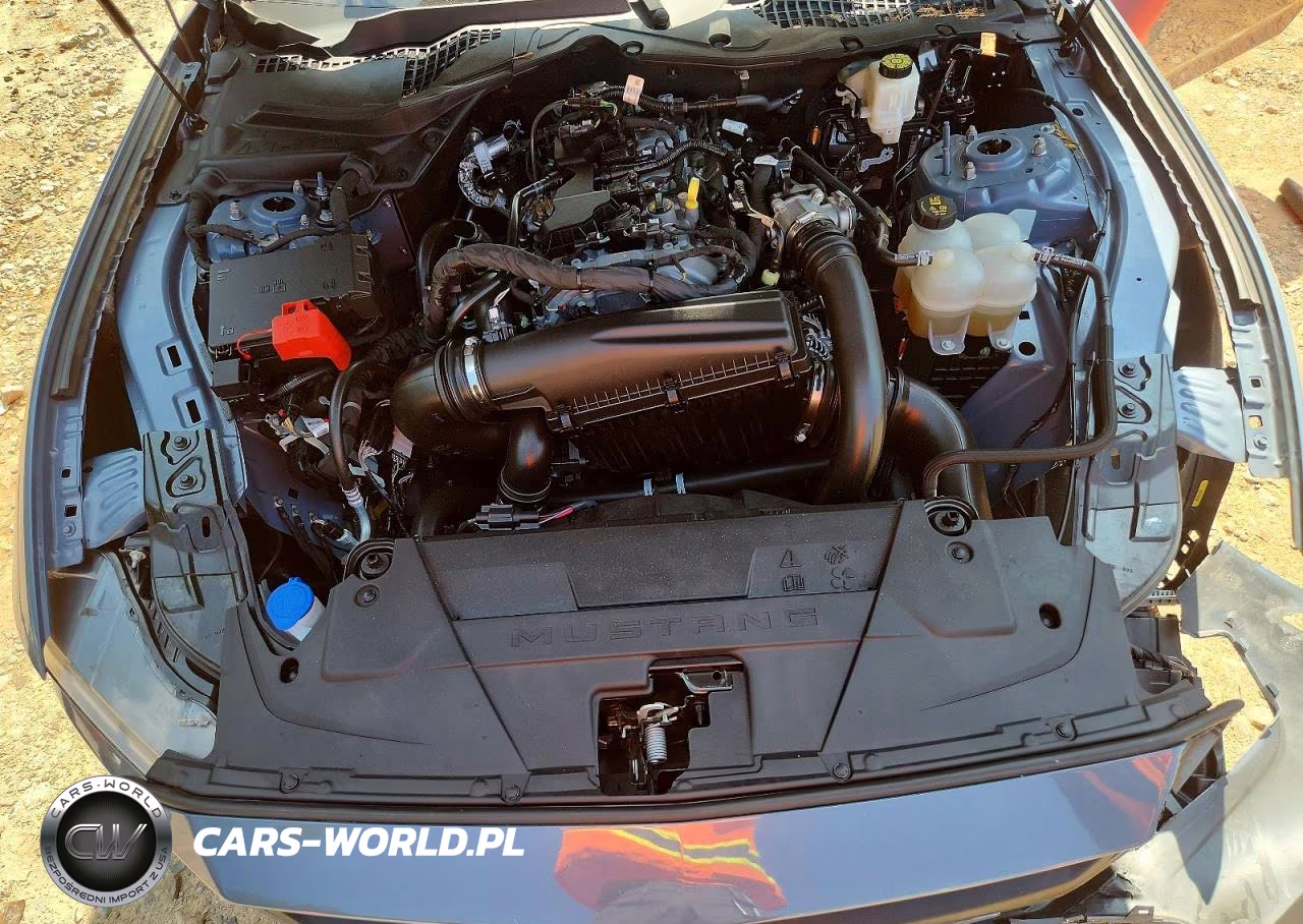 2024 Ford Mustang VIN:1FA6P8TH5R5111686 - 11