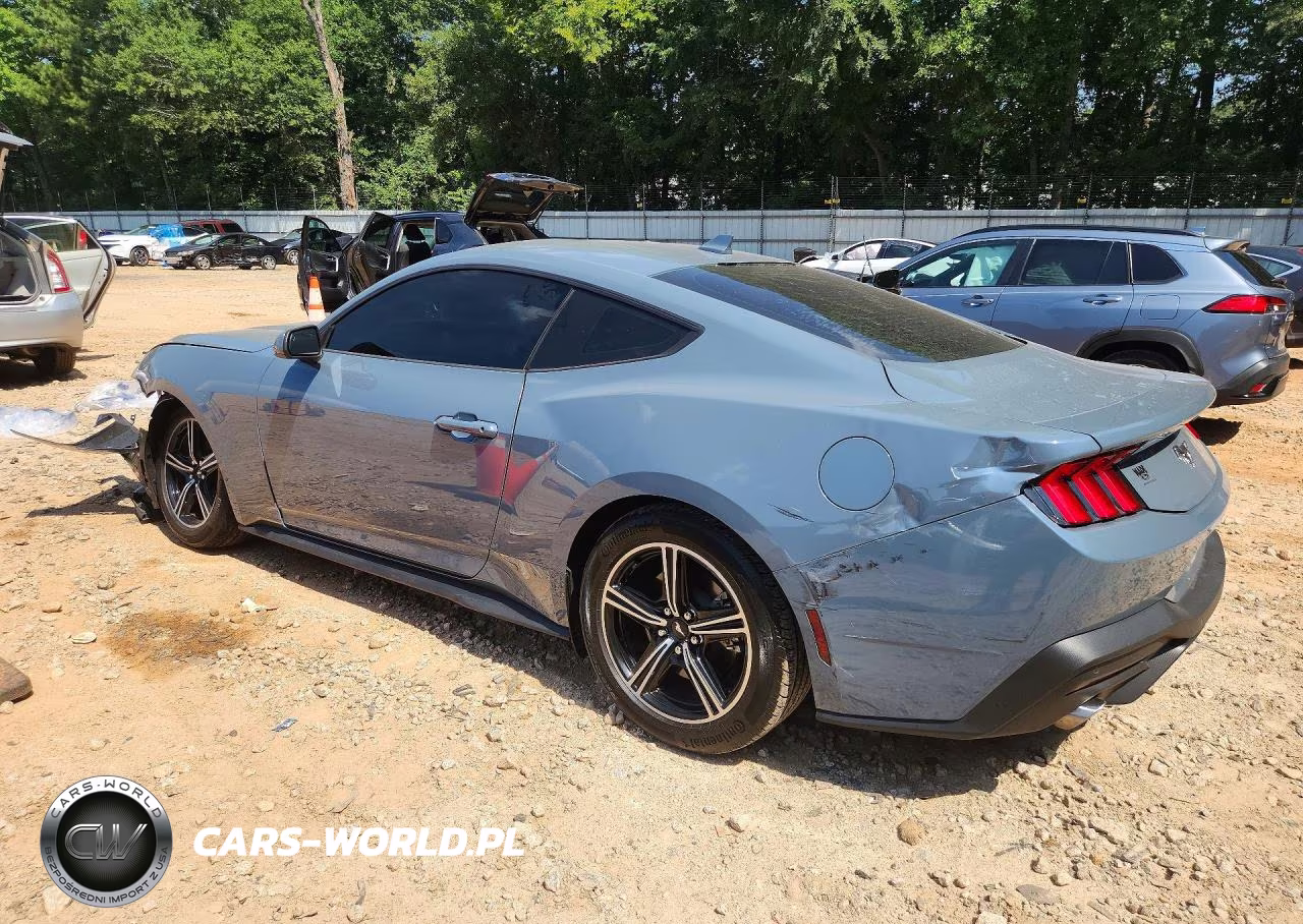 2024 Ford Mustang VIN:1FA6P8TH5R5111686 - 2