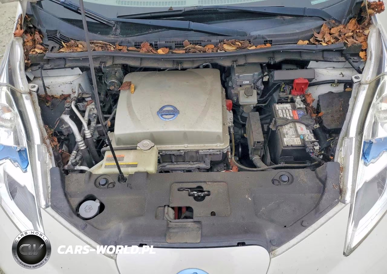 2015 Nissan Leaf S VIN:1N4AZ0CP4FC317005 - 11