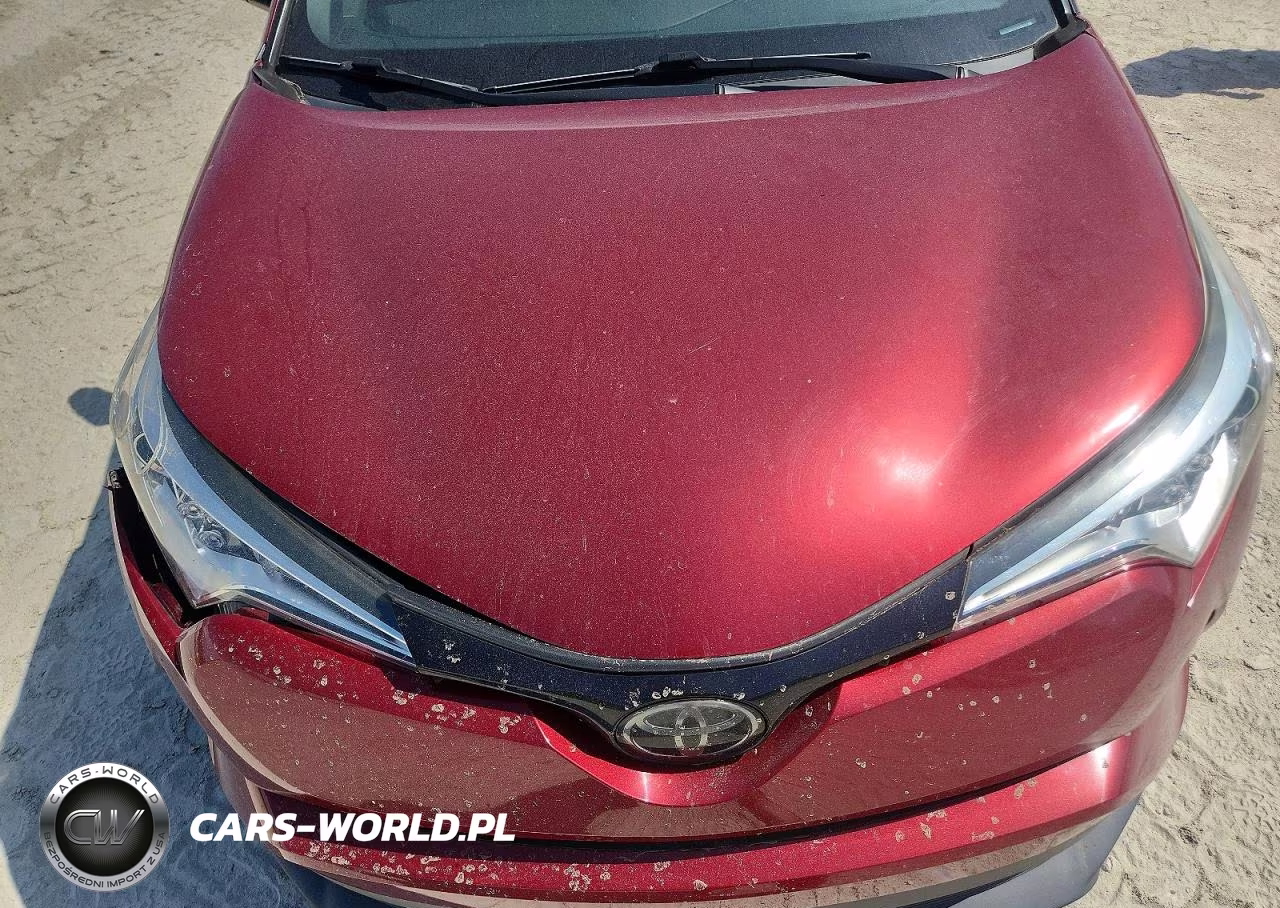 2019 Toyota C-Hr Xle VIN:JTNKHMBX1K1048926 - 12