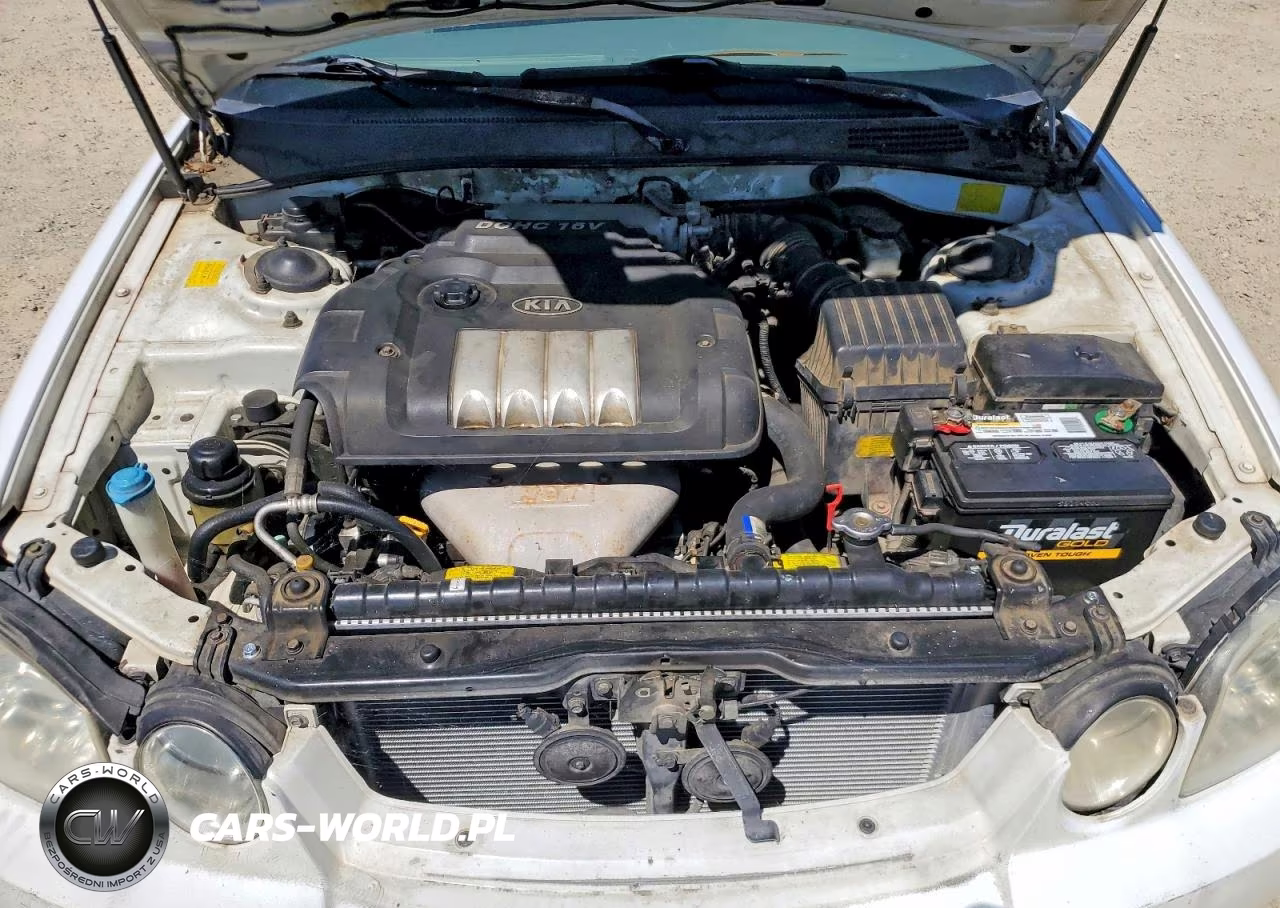 2005 Kia Optima Lx VIN:KNAGD126455408485 - 11