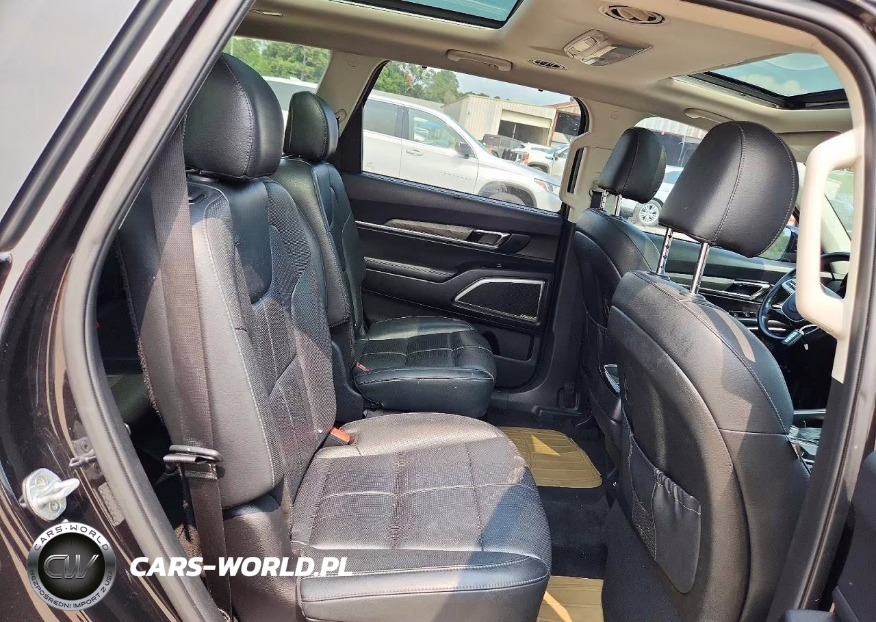 2020 Kia Telluride Sx VIN:5XYP54HC6LG050728 - 11