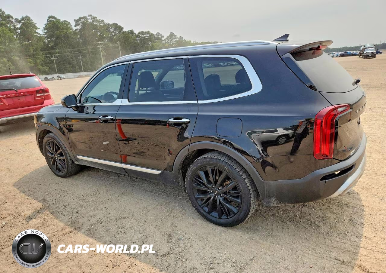 2020 Kia Telluride Sx VIN:5XYP54HC6LG050728 - 2