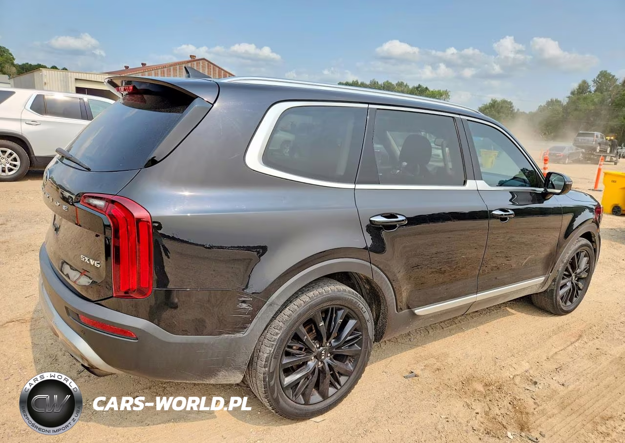 2020 Kia Telluride Sx VIN:5XYP54HC6LG050728 - 3
